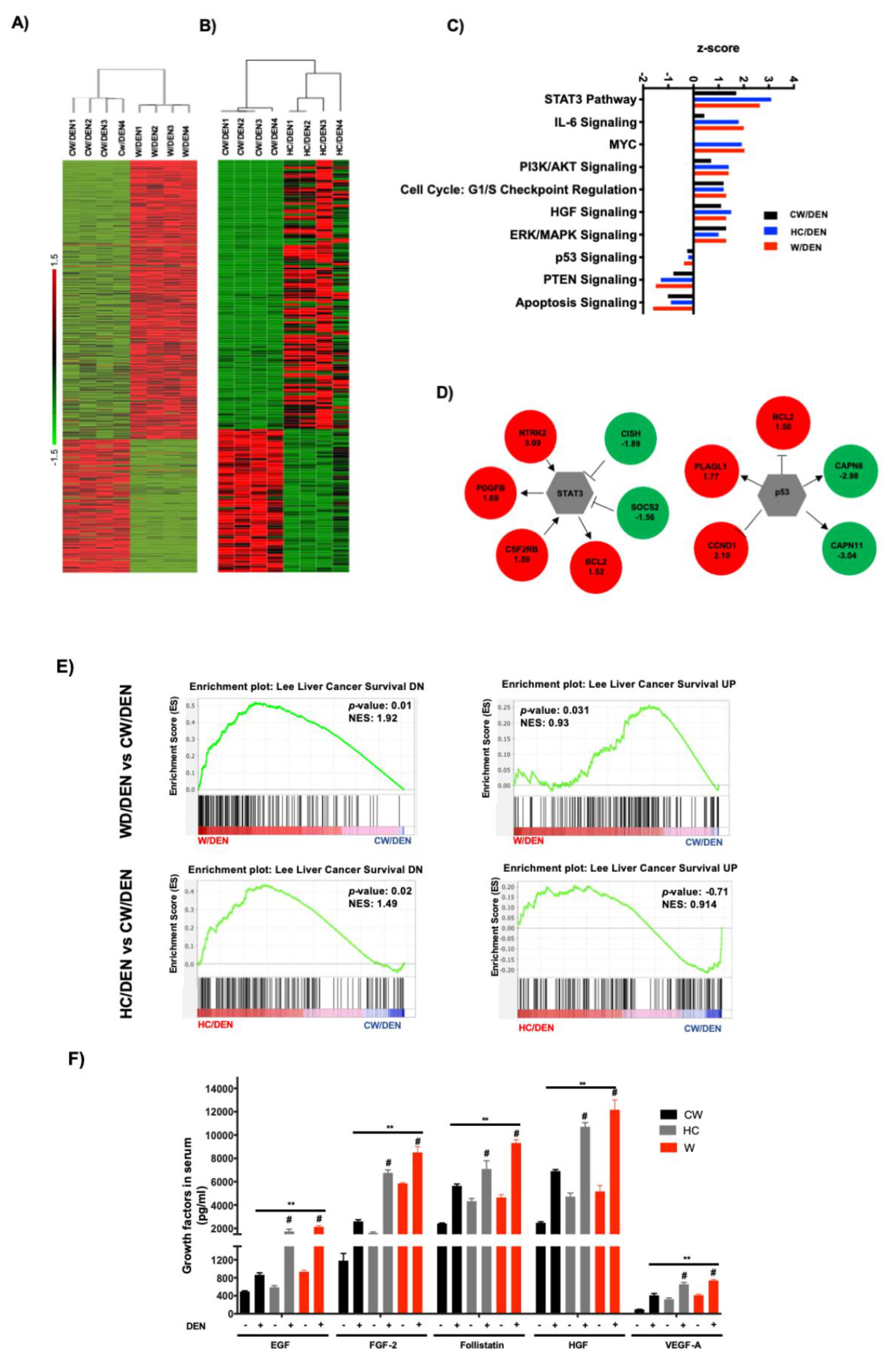 Cancers 13 01721 g003a Cancers 13 01721 g003a