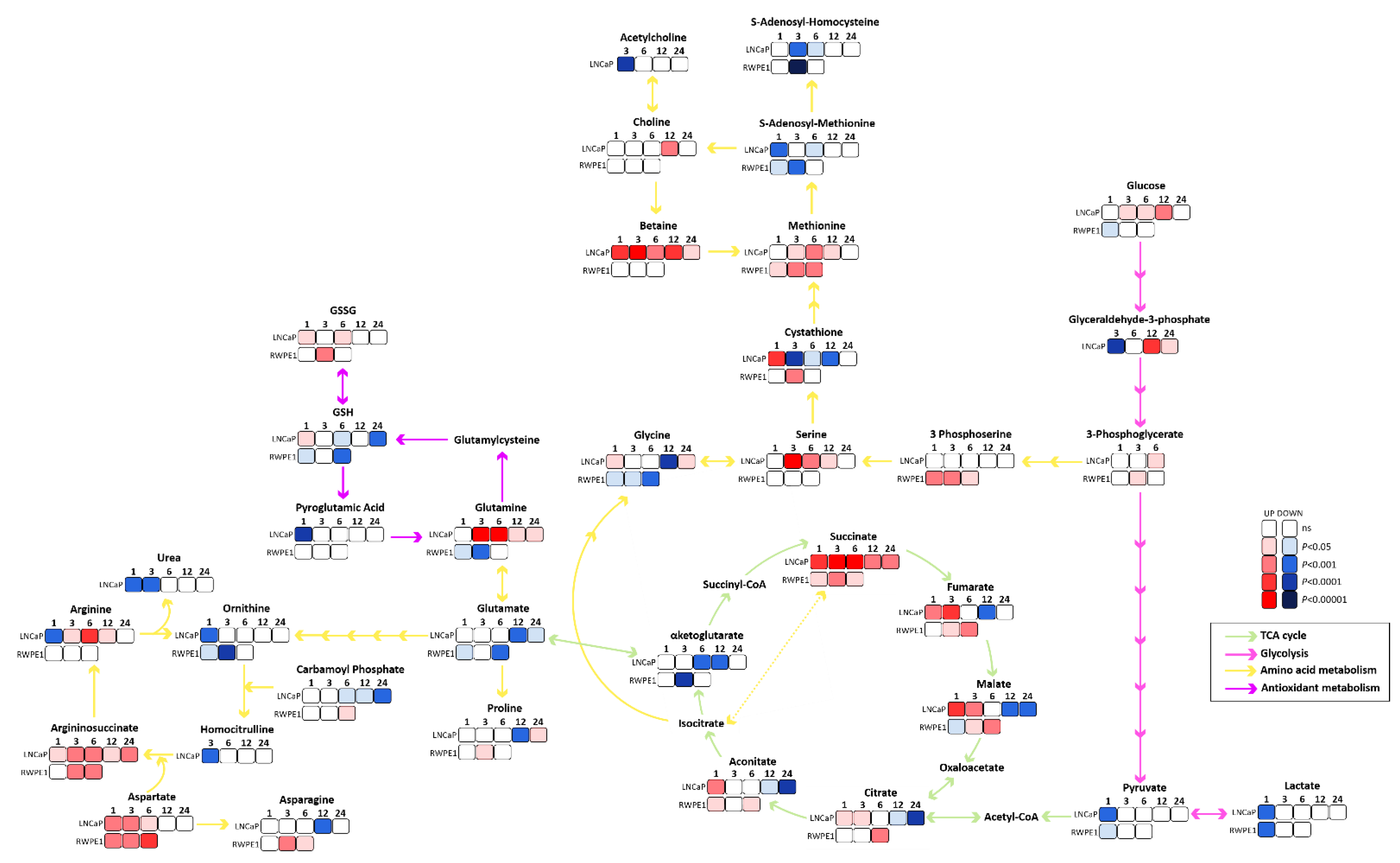 Cancers 13 01727 g002