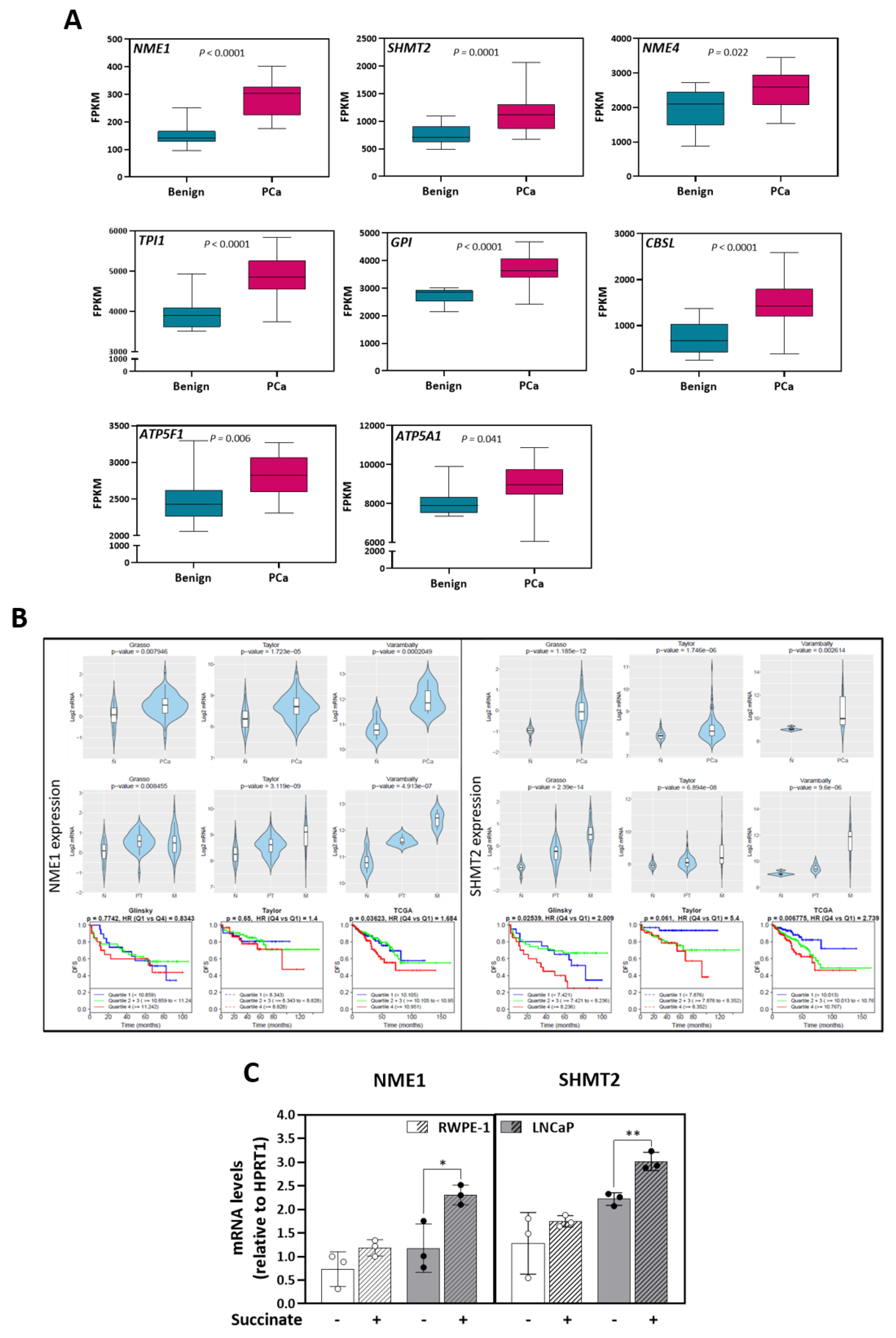 Cancers 13 01727 g006