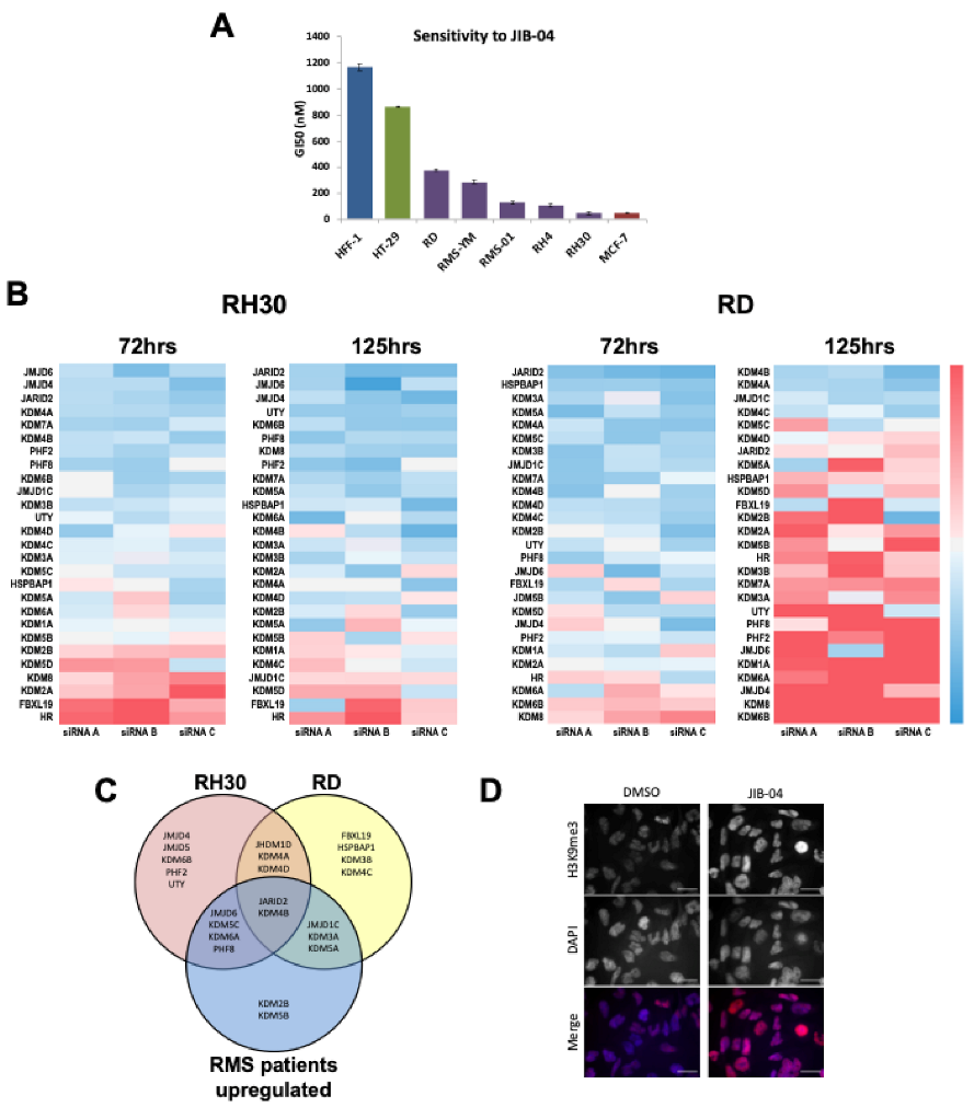 Cancers 13 01734 g001