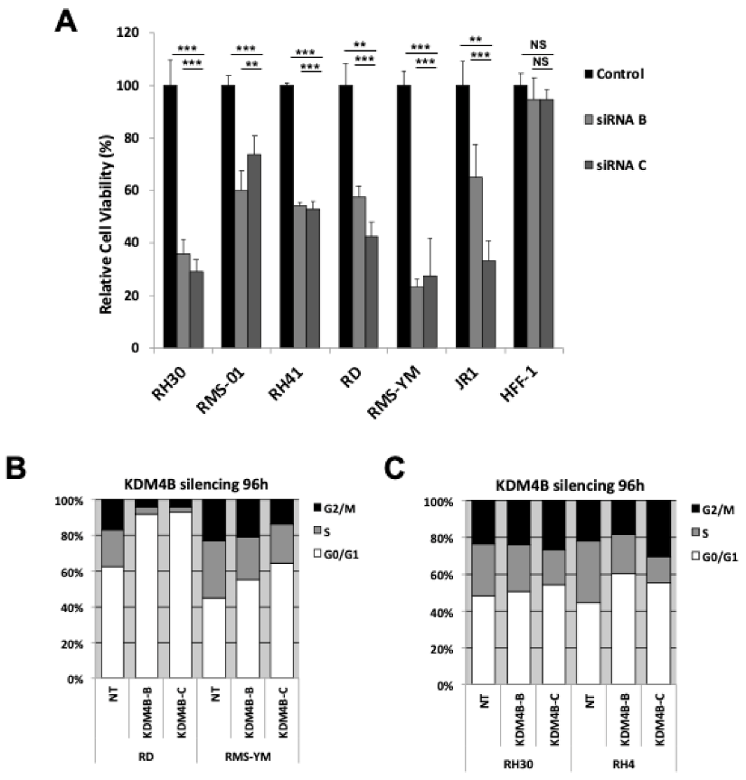 Cancers 13 01734 g003