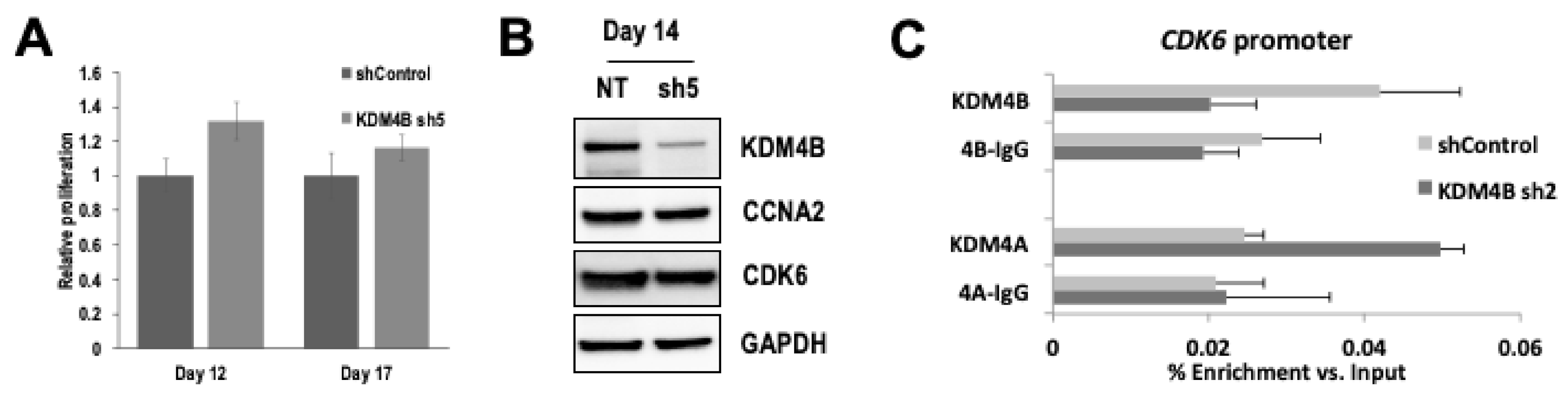 Cancers 13 01734 g005