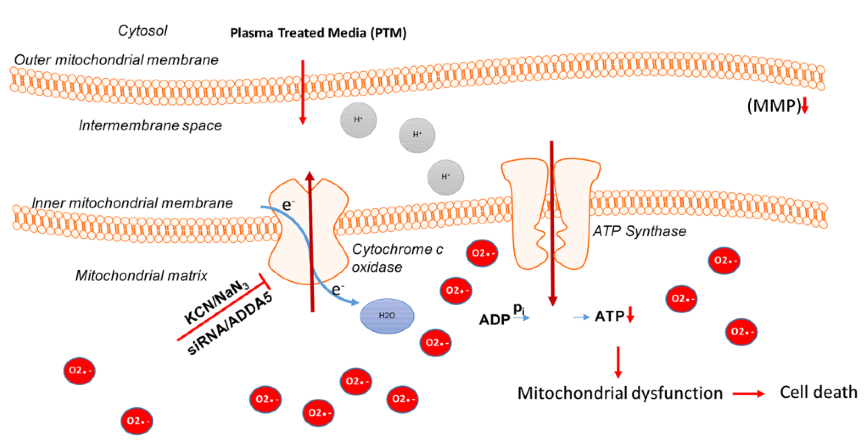 Cancers 13 01737 g008