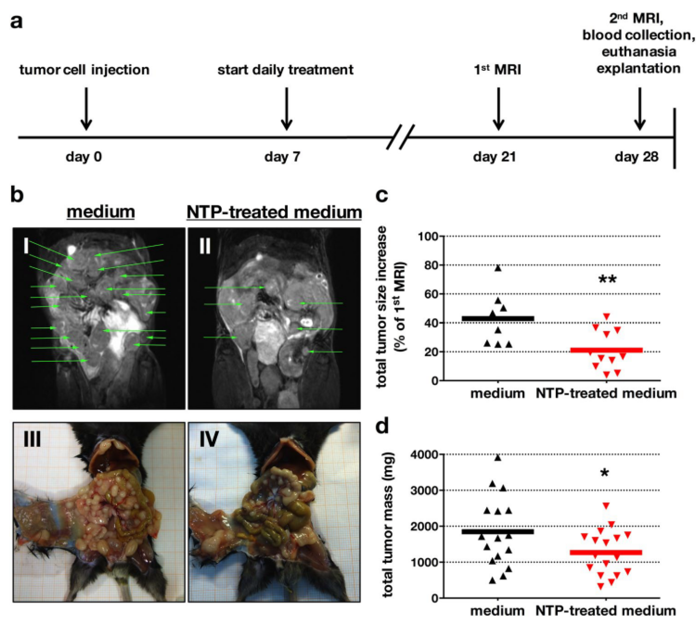 Cancers 13 01737 g015