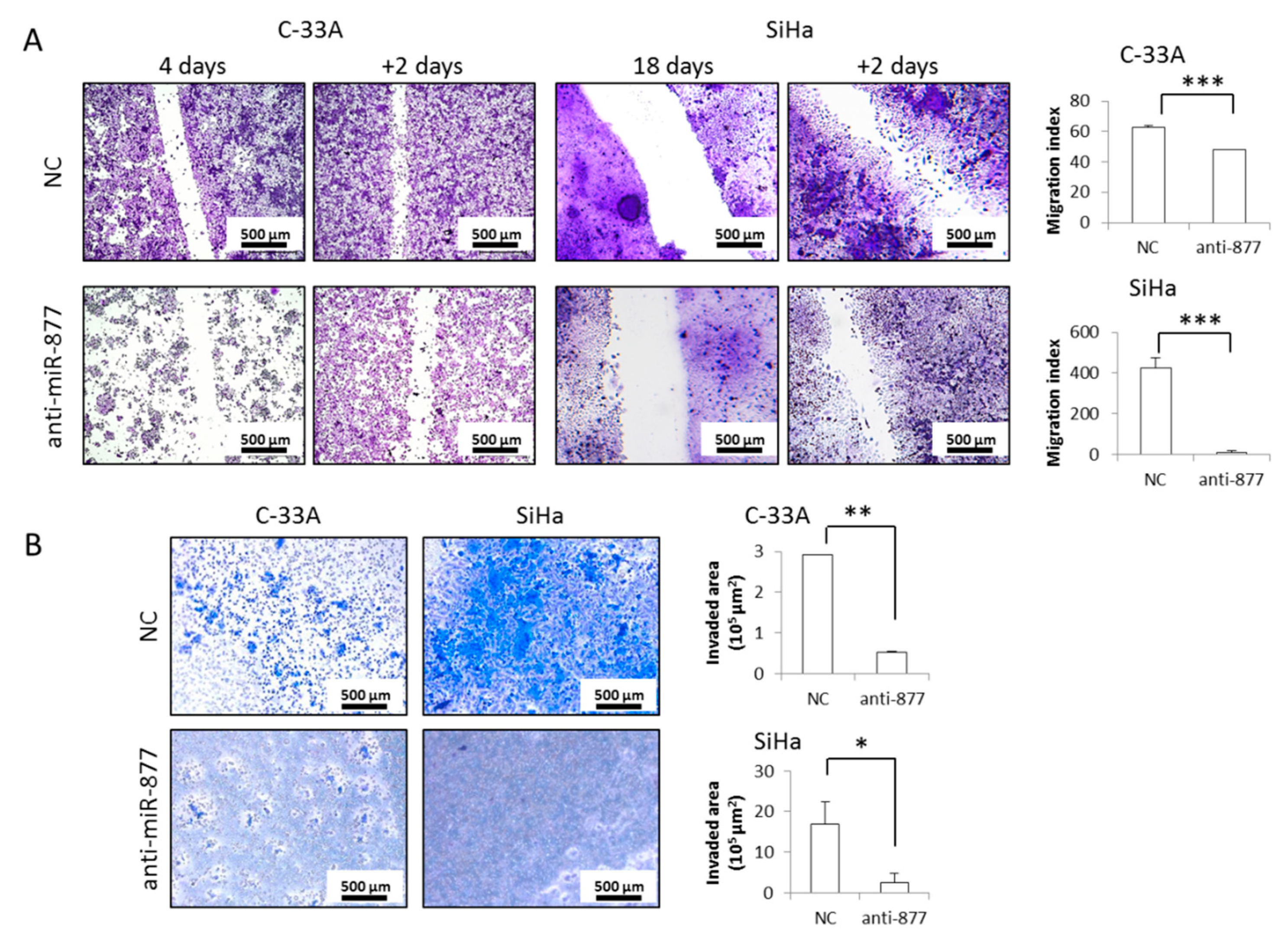 Cancers 13 01739 g003