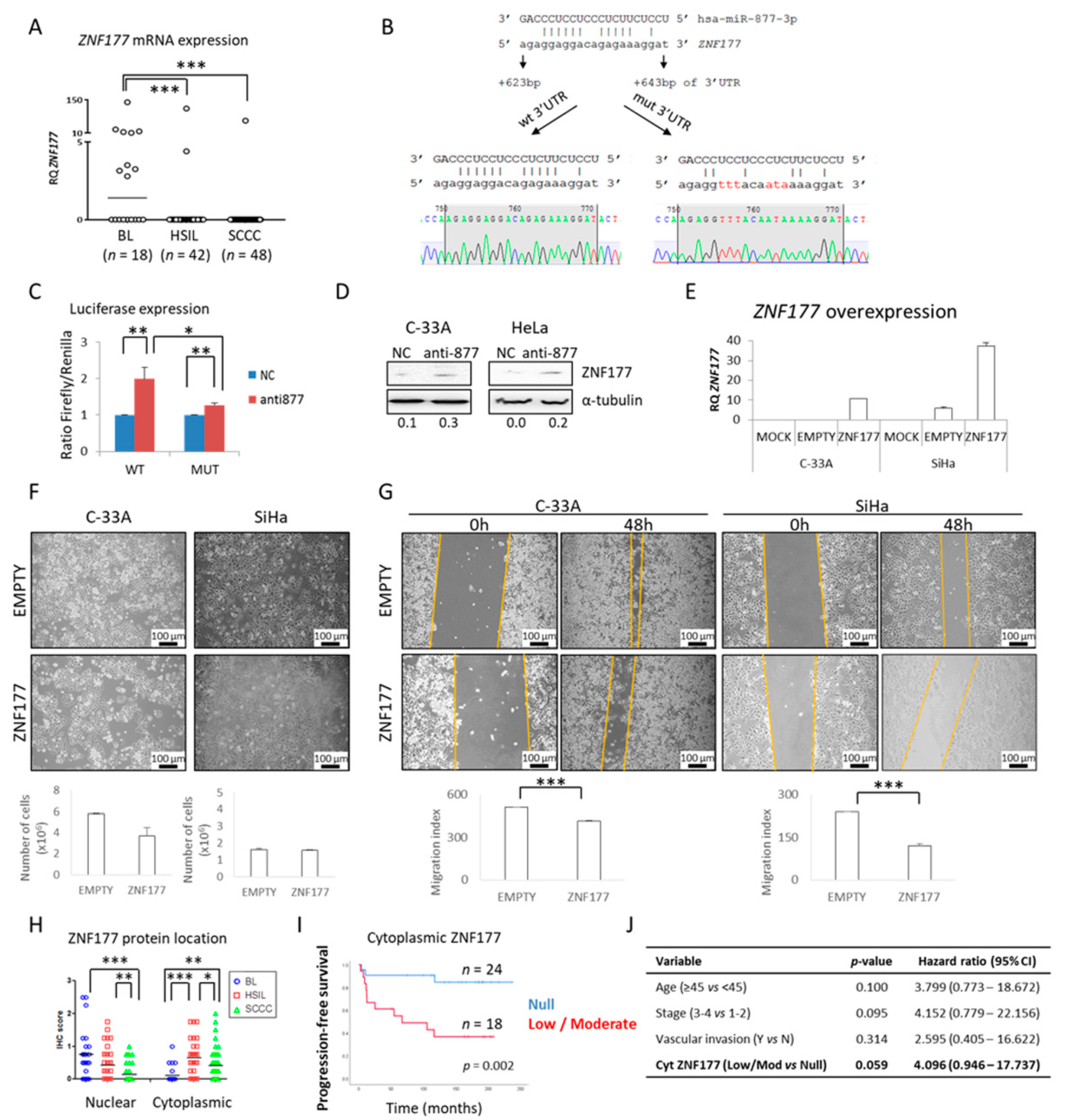 Cancers 13 01739 g004
