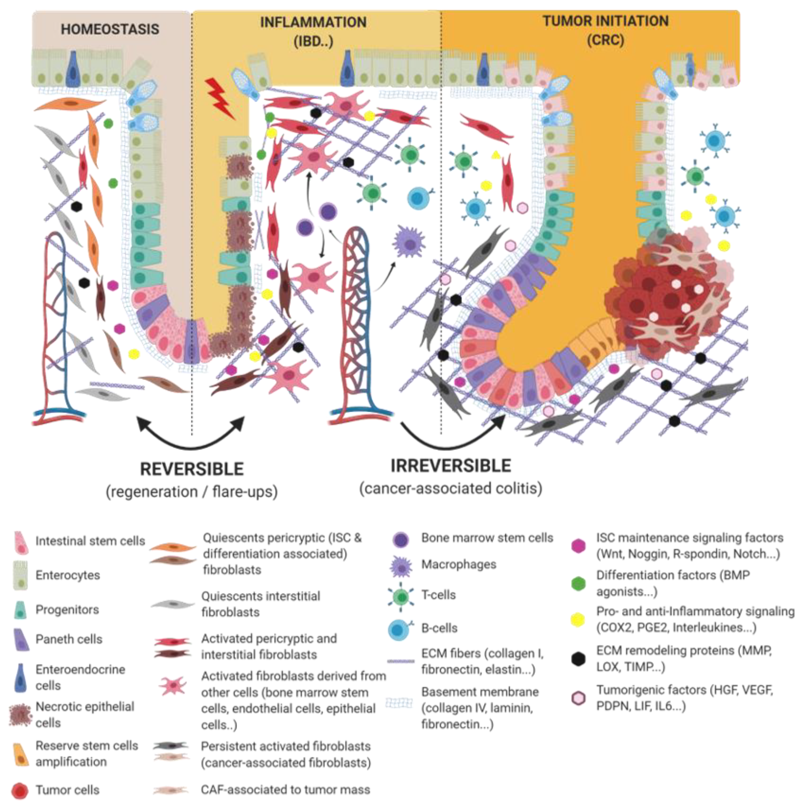 Cancers 13 01749 g001 Cancers 13 01749 g001