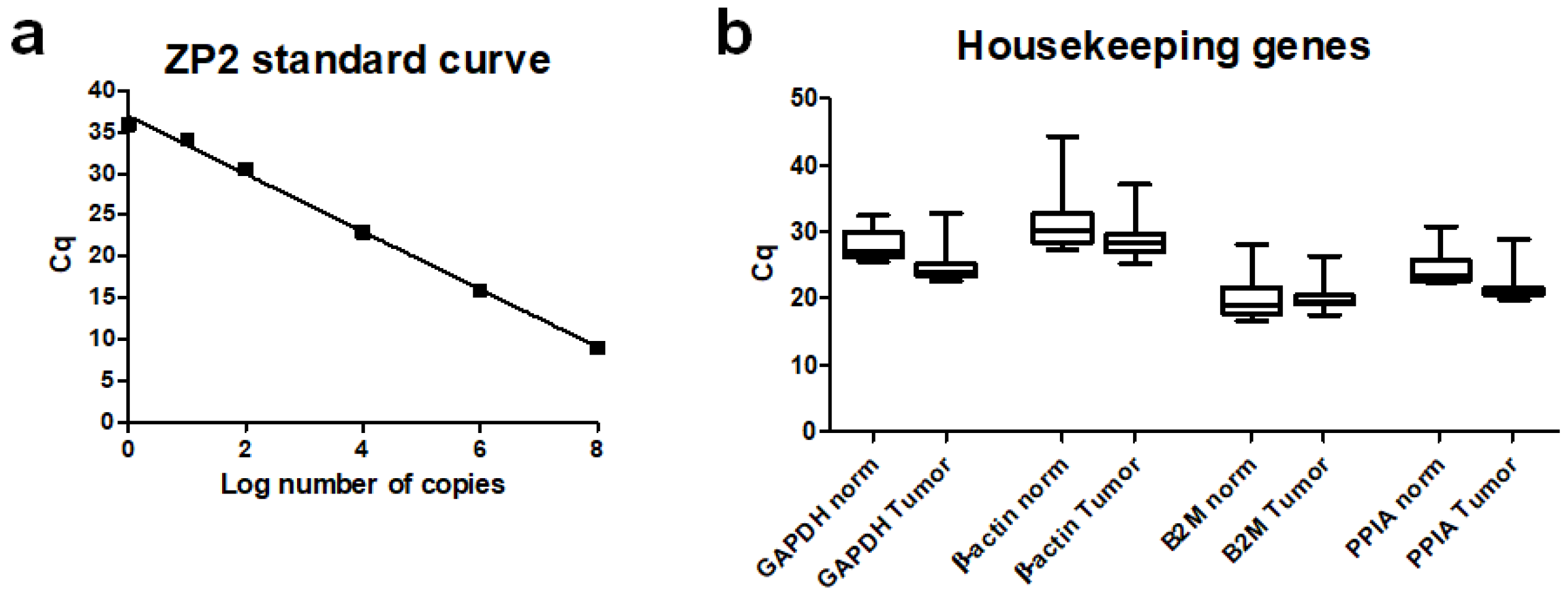 Cancers 13 01759 g001 Cancers 13 01759 g001