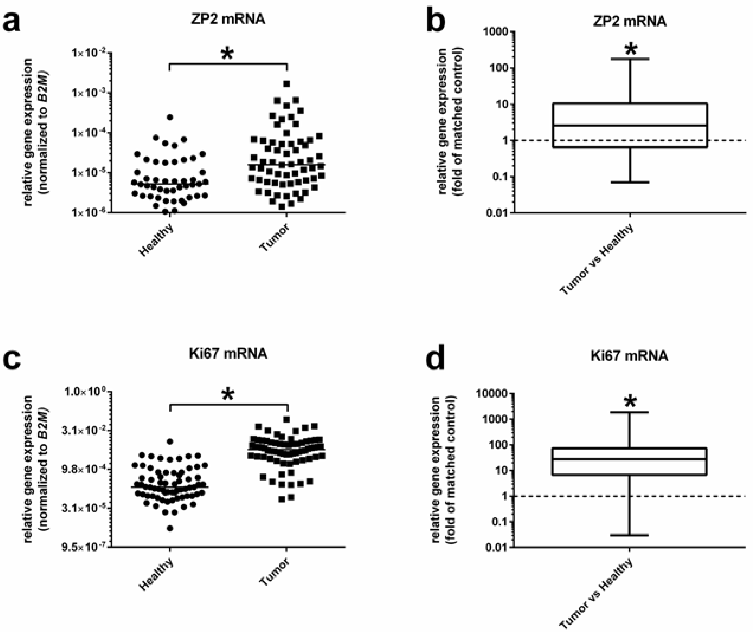 Cancers 13 01759 g002 Cancers 13 01759 g002