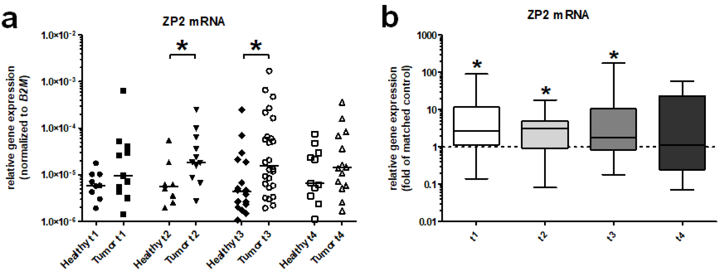 Cancers 13 01759 g004 Cancers 13 01759 g004