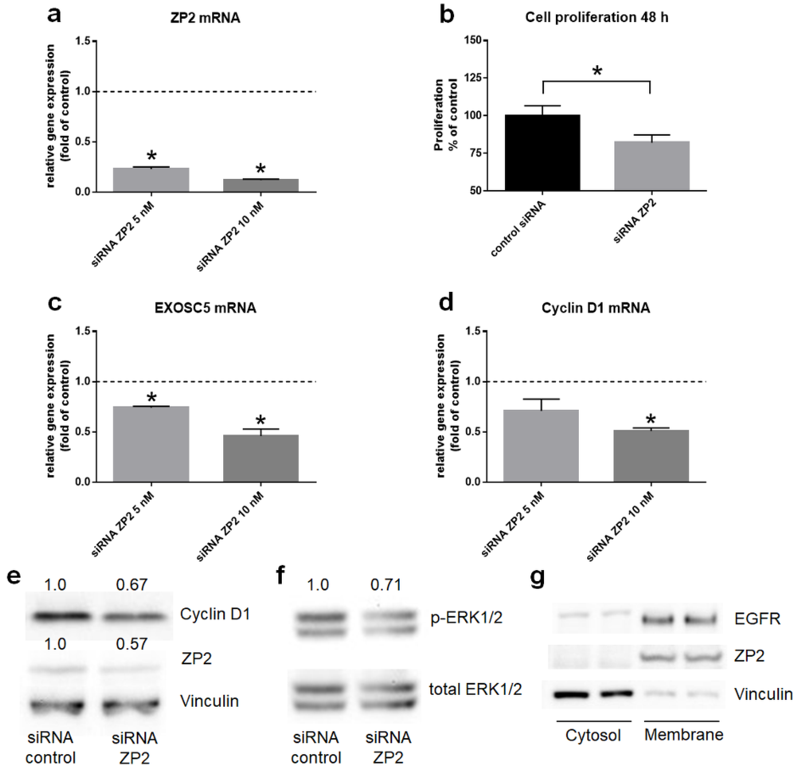 Cancers 13 01759 g006 Cancers 13 01759 g006