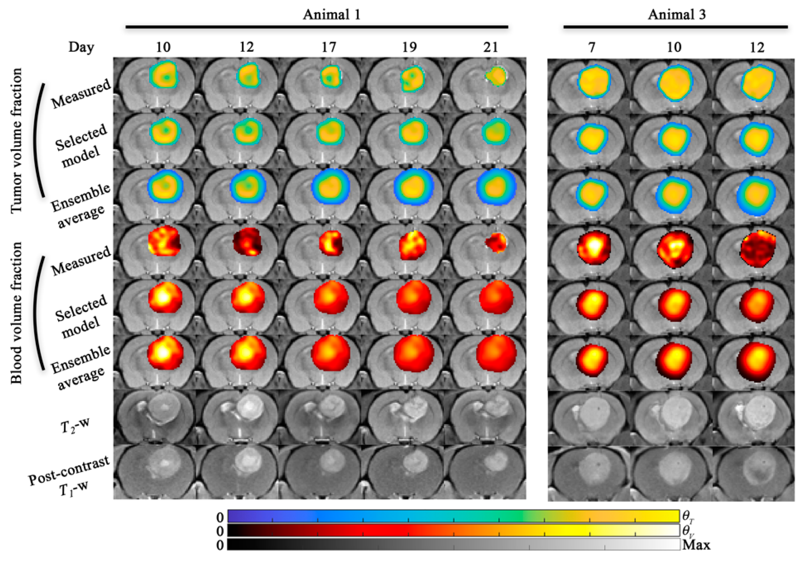 Cancers 13 01765 g006