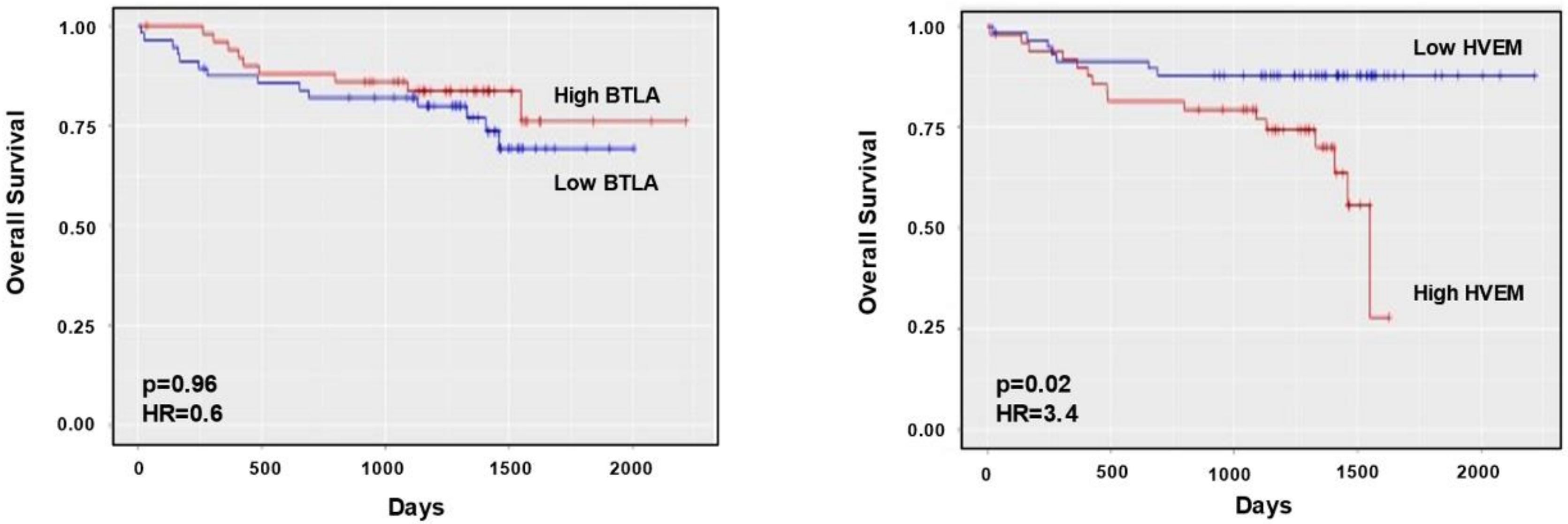 Cancers 13 01766 g003