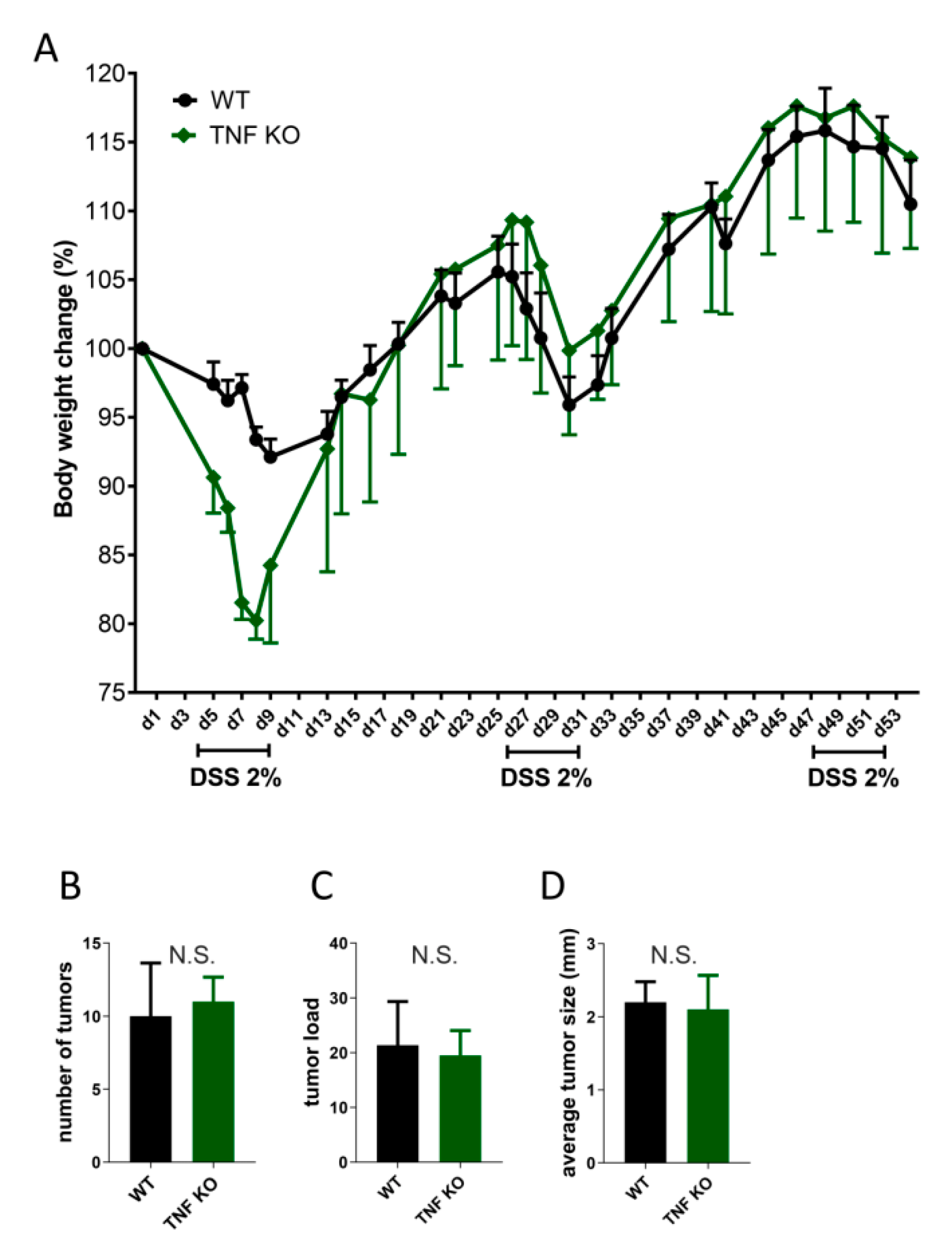 Cancers 13 01775 g005 Cancers 13 01775 g005