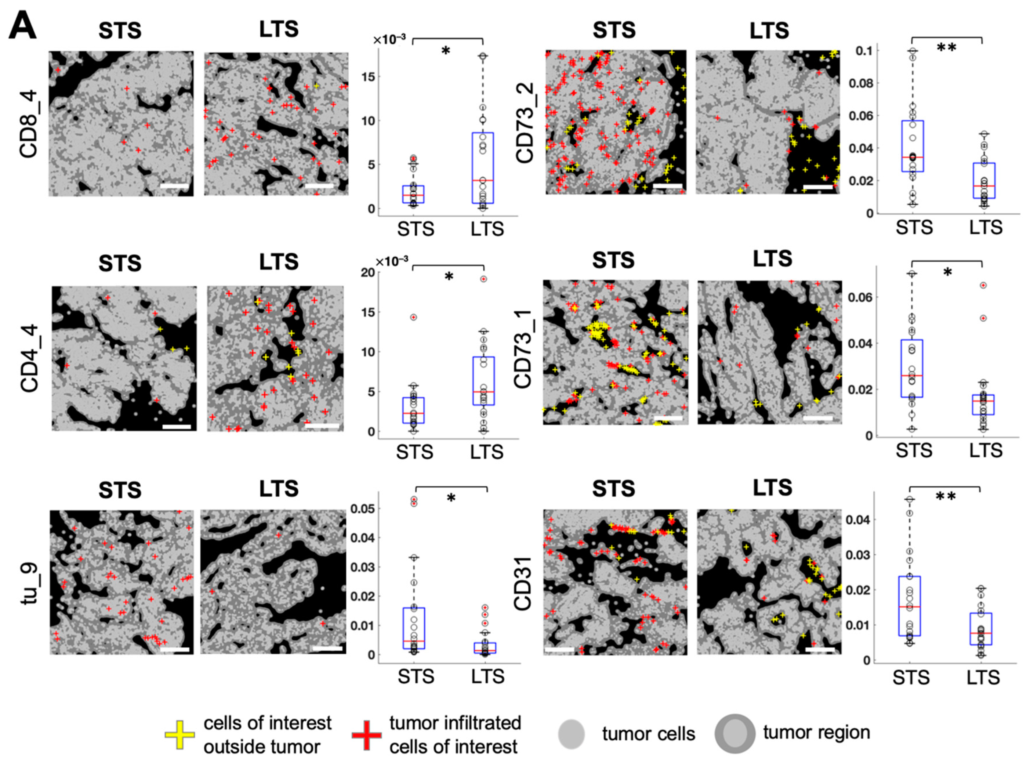 Cancers 13 01777 g005a Cancers 13 01777 g005a