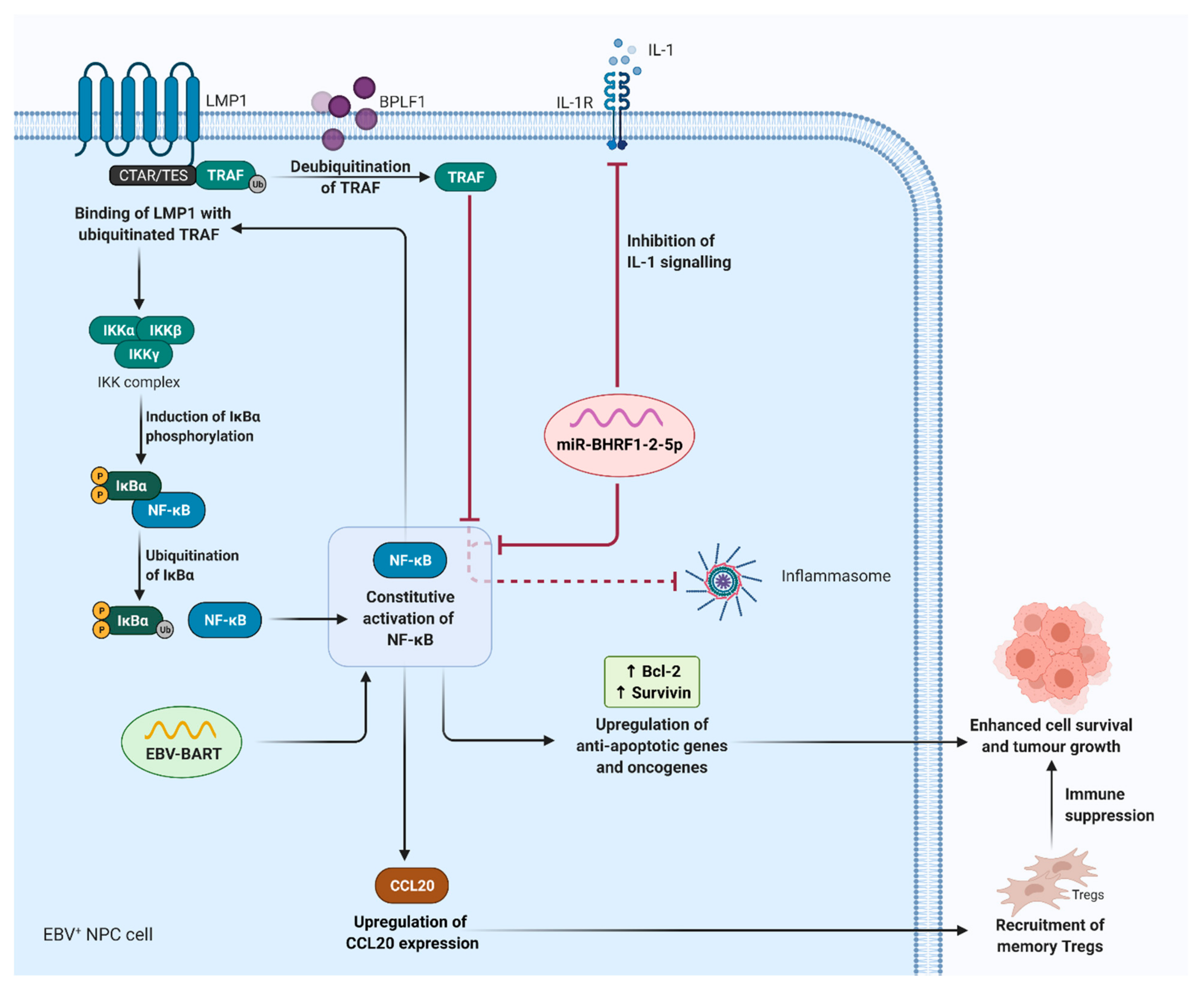 Cancers 13 01786 g004 Cancers 13 01786 g004