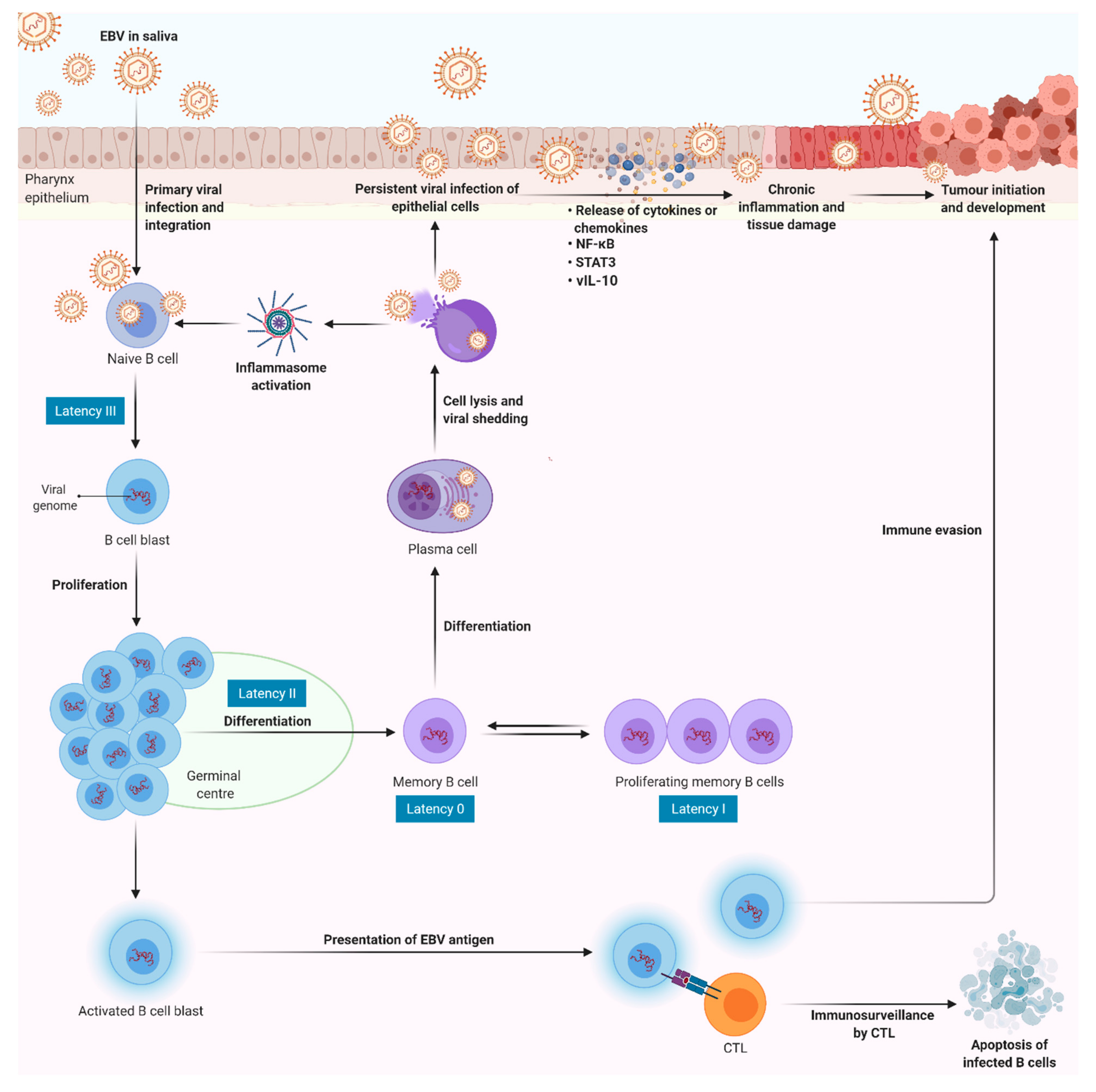 Cancers 13 01786 g005 Cancers 13 01786 g005