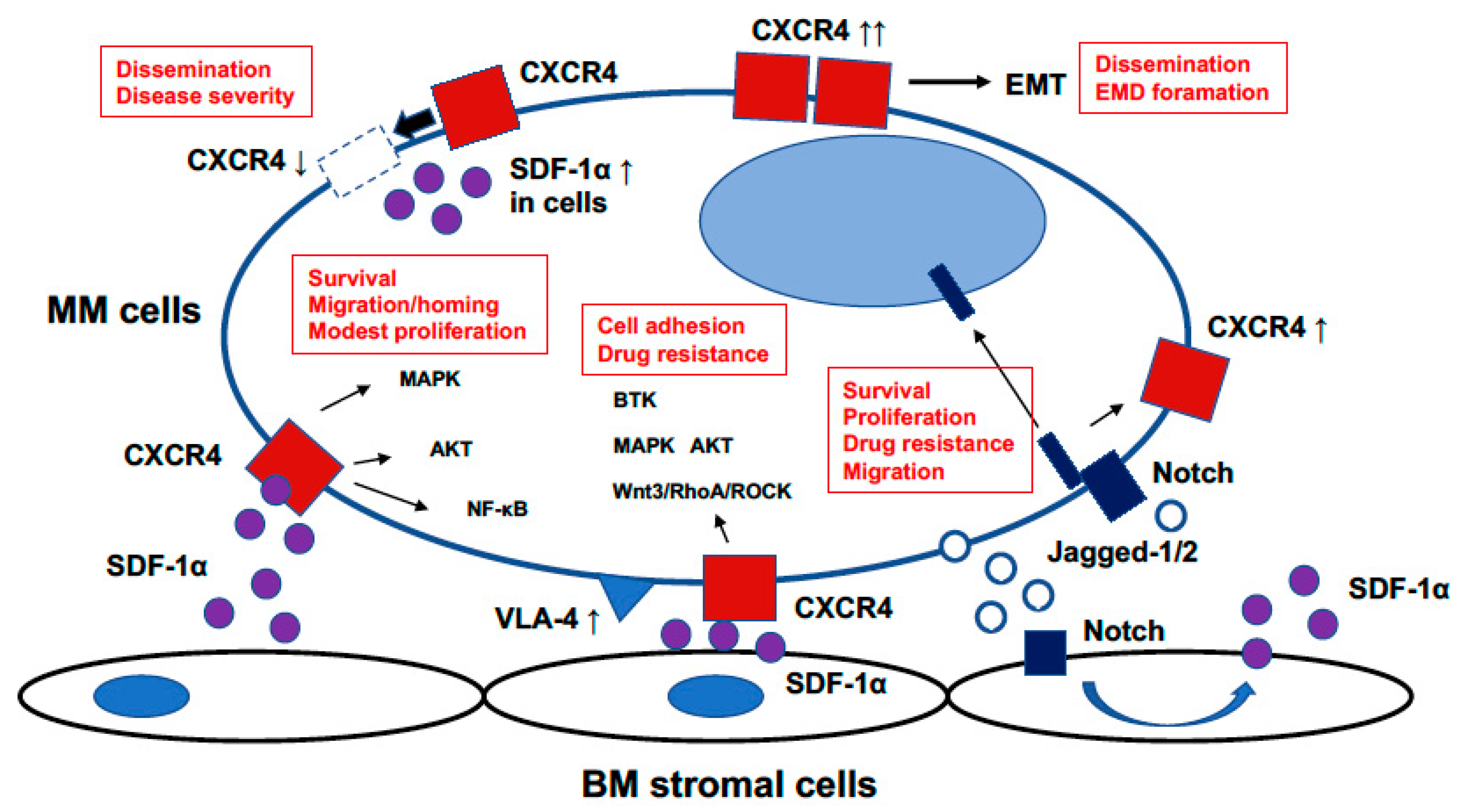 Cancers 13 01793 g001