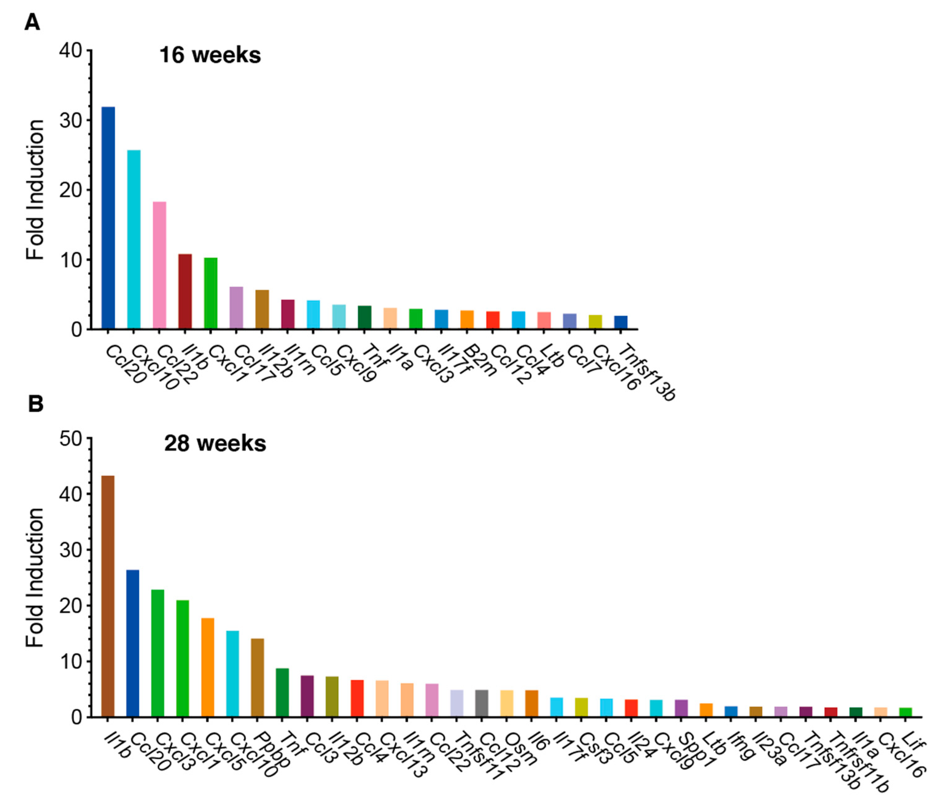 Cancers 13 01835 g002 Cancers 13 01835 g002