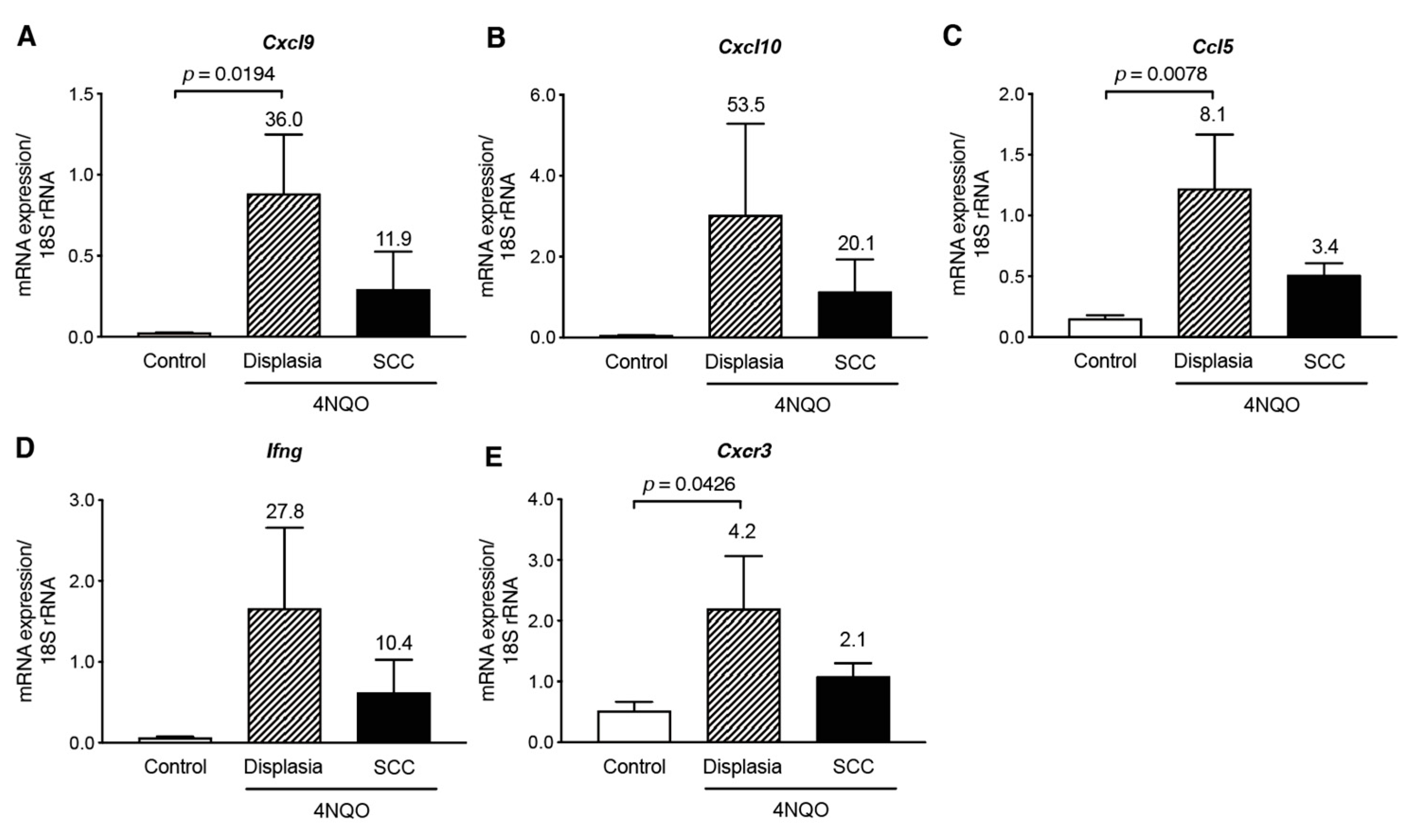 Cancers 13 01835 g005 Cancers 13 01835 g005