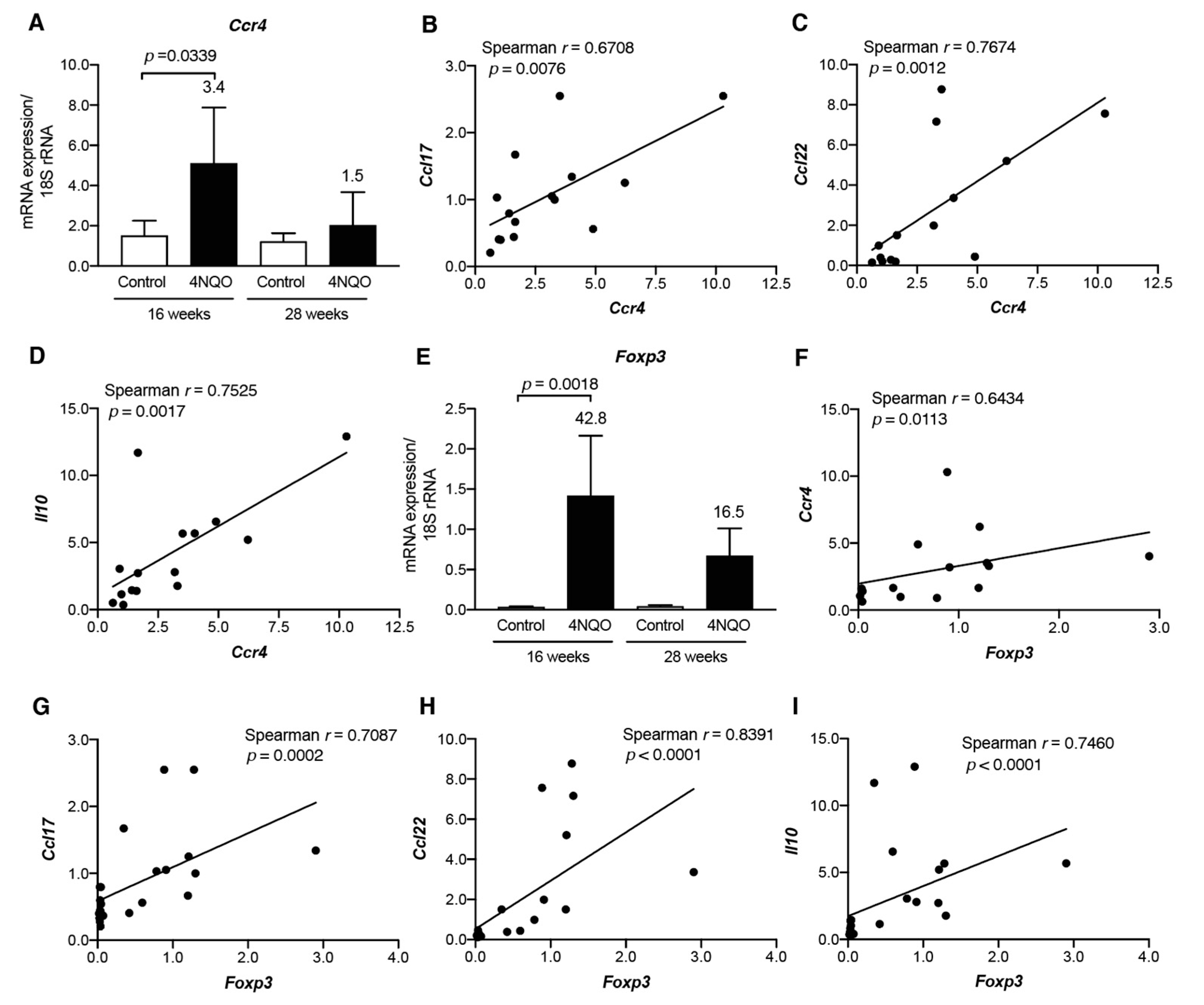 Cancers 13 01835 g007 Cancers 13 01835 g007