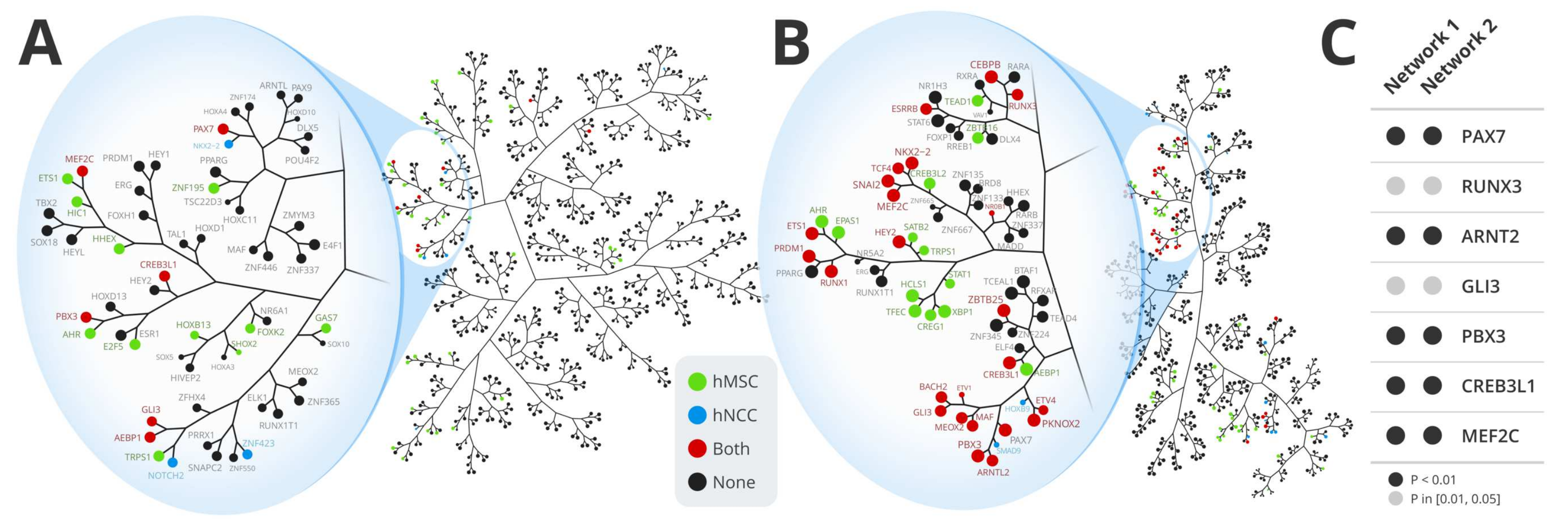 Cancers 13 01860 g001