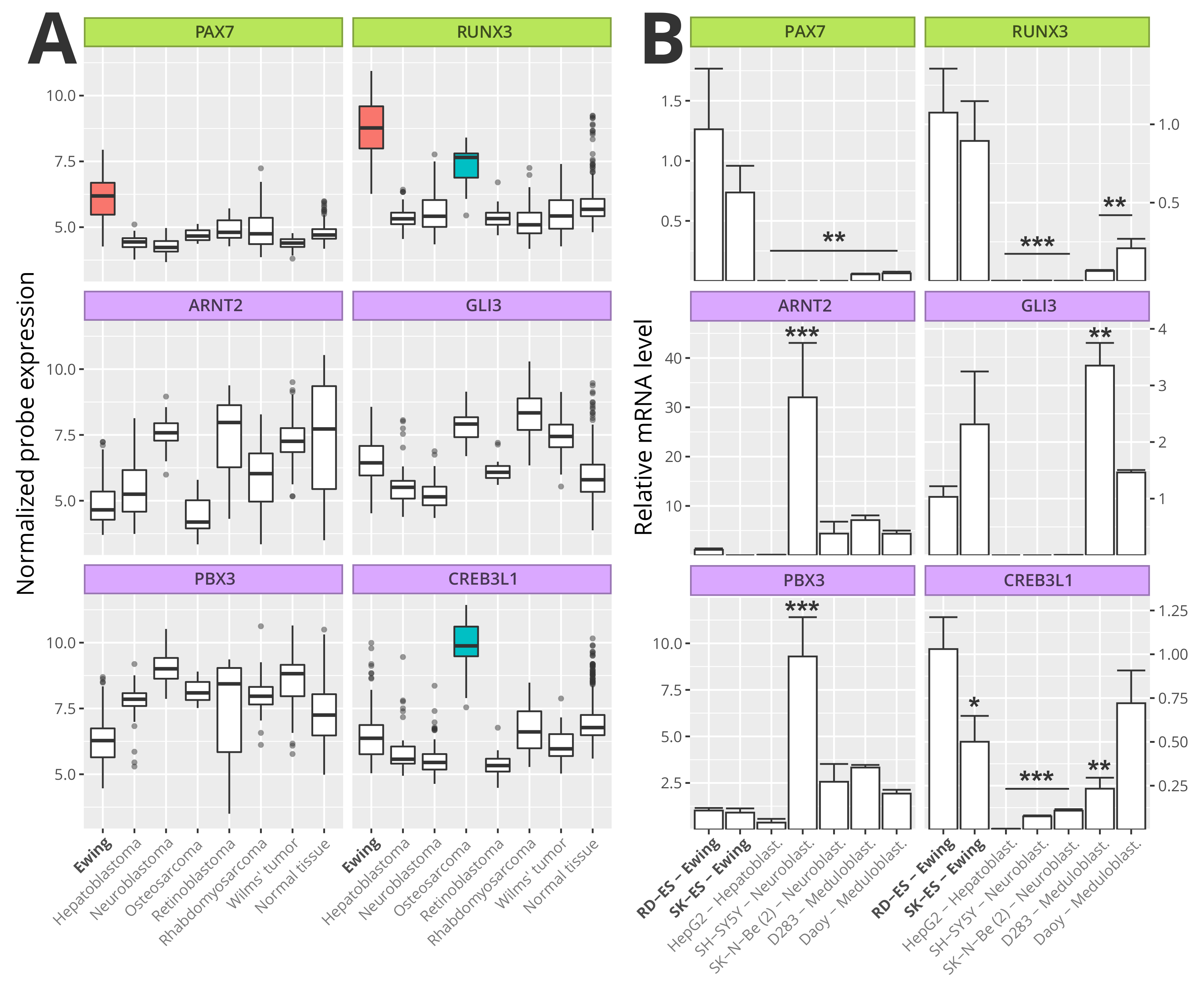Cancers 13 01860 g006