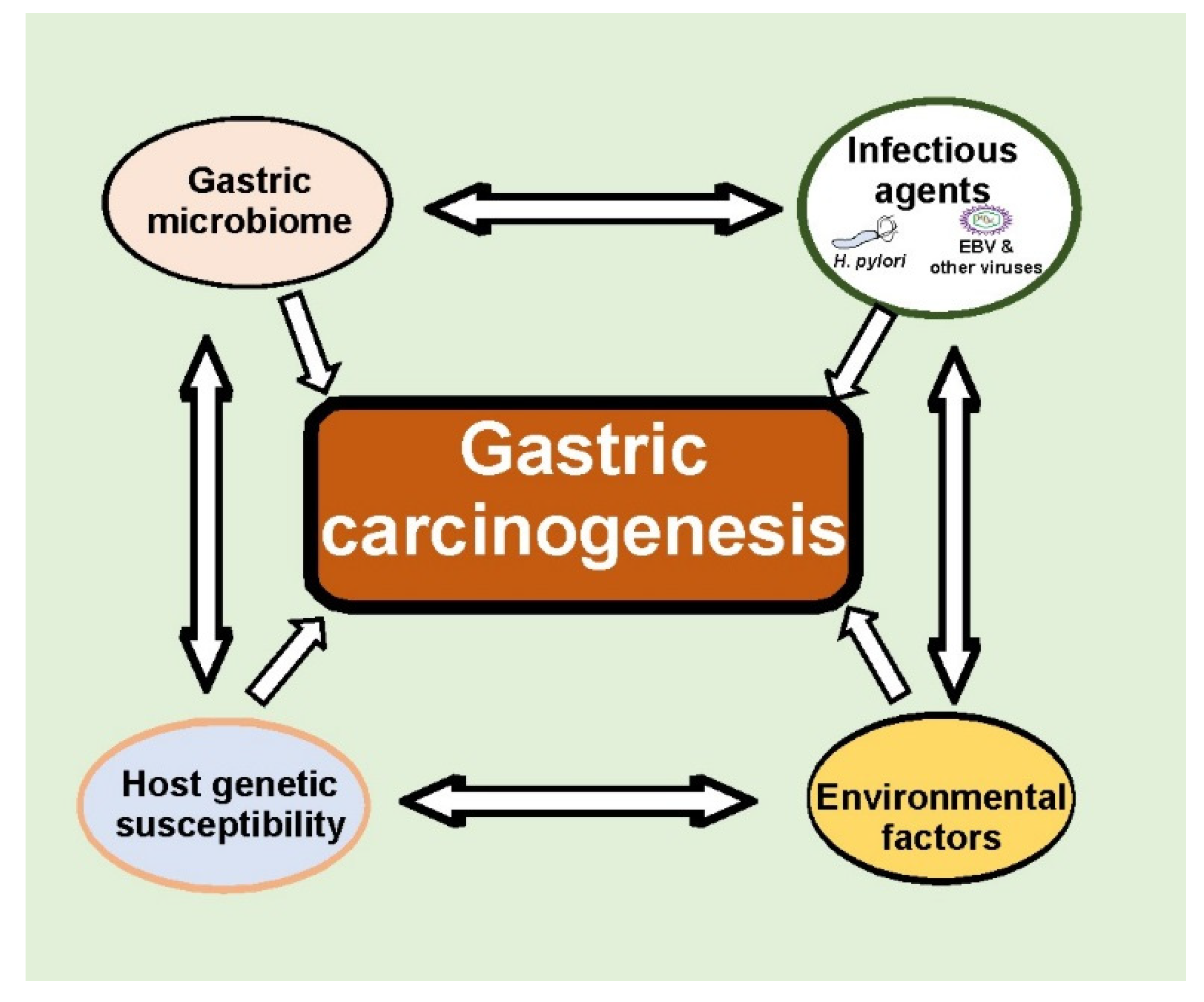 Cancers 13 01878 g003 Cancers 13 01878 g003