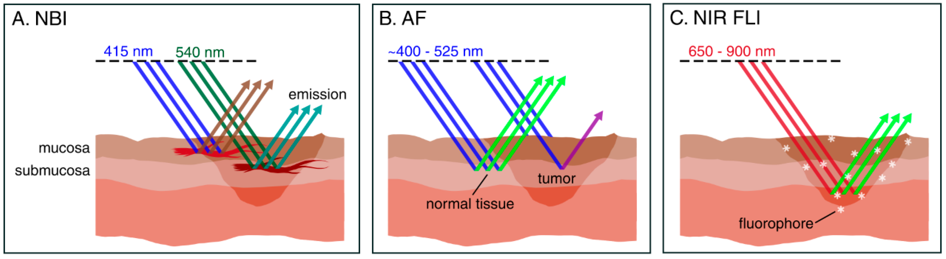 Cancers 13 01895 g001