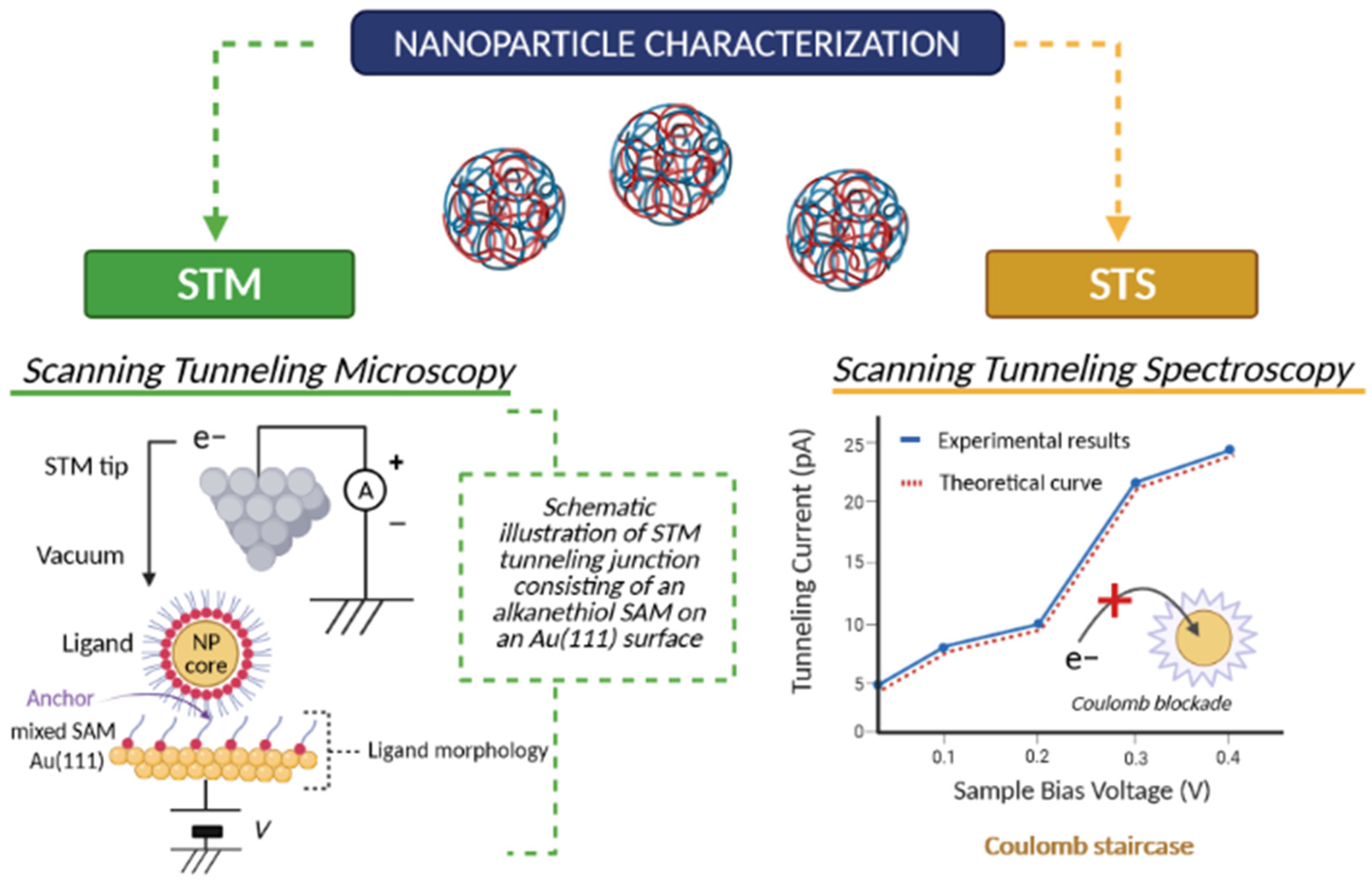 Cancers 13 01896 g002