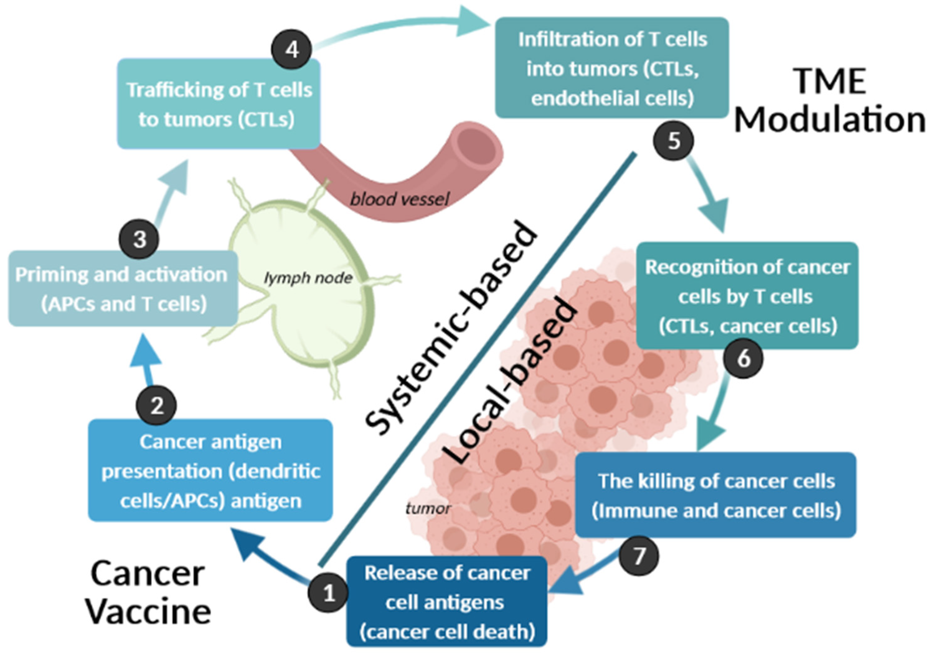 Cancers 13 01896 g005