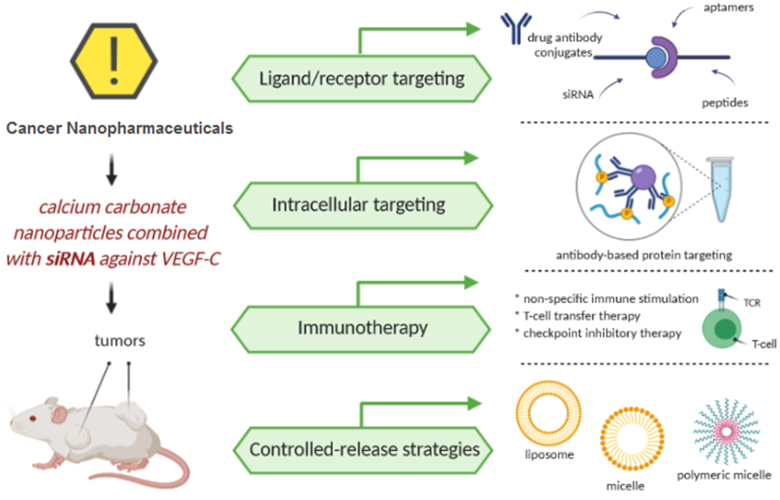 Cancers 13 01896 g006