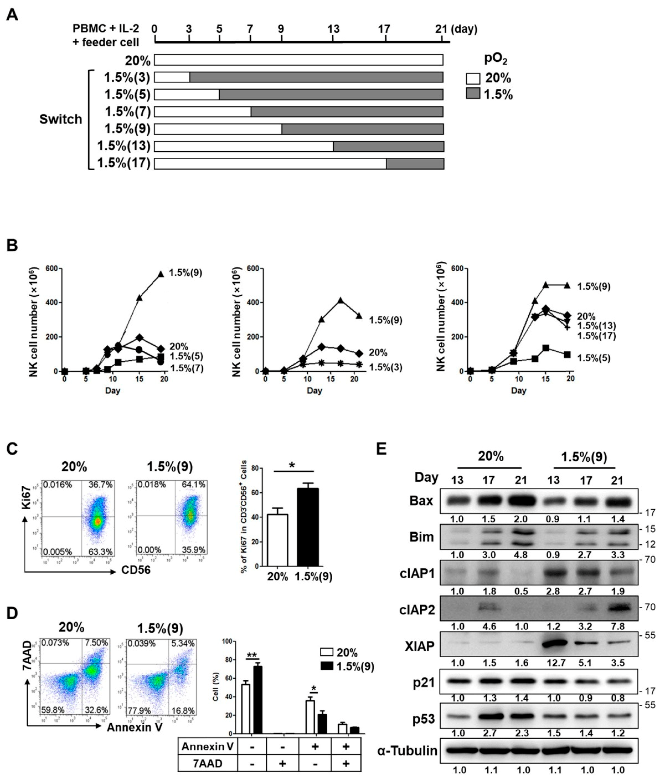 Cancers 13 01904 g002 Cancers 13 01904 g002