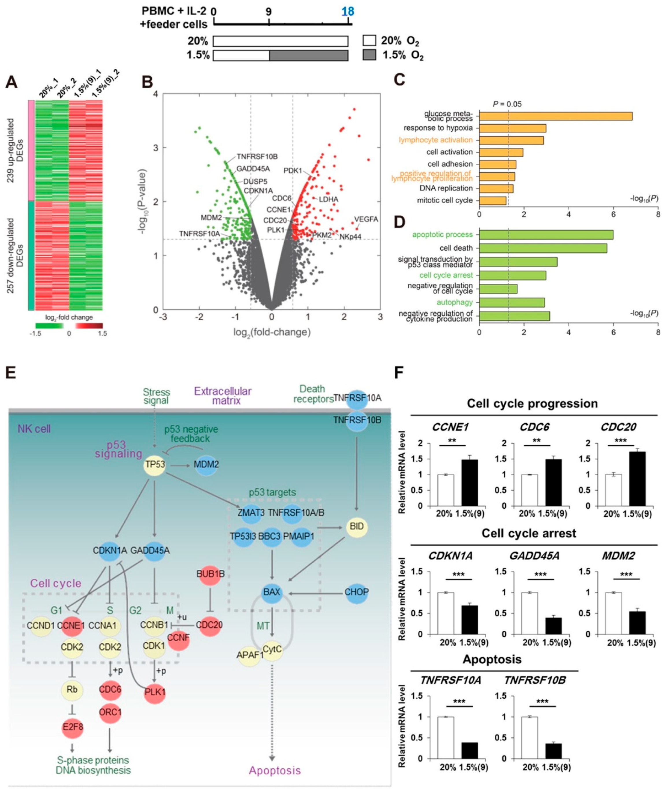 Cancers 13 01904 g003 Cancers 13 01904 g003