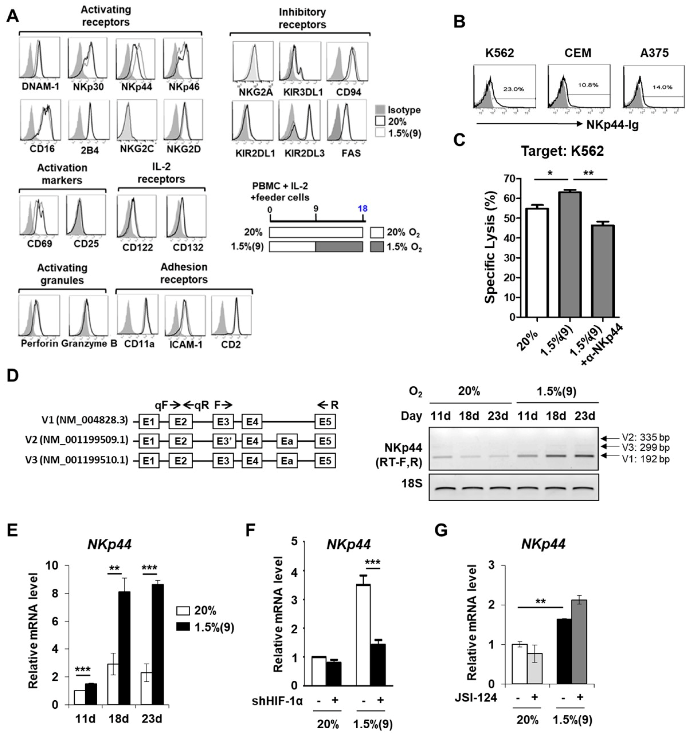 Cancers 13 01904 g007 Cancers 13 01904 g007