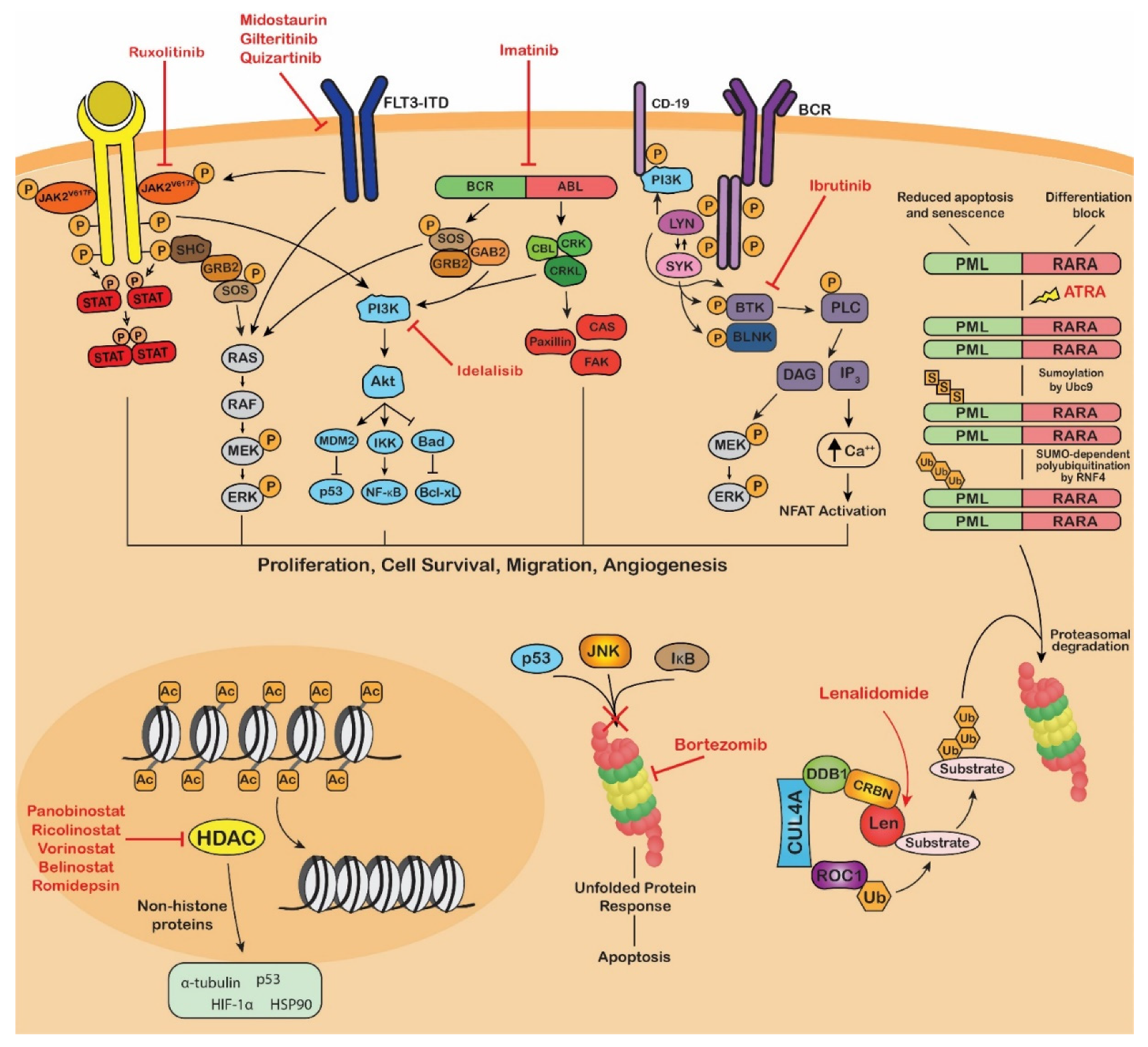 cancers-free-full-text-current-methods-of-post-translational