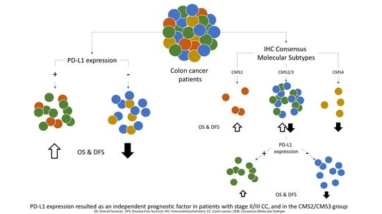 Cancers Free Full Text Pd L1 As A Prognostic Factor In Early Stage Colon Carcinoma Within The Immunohistochemical Molecular Subtype Classification Html