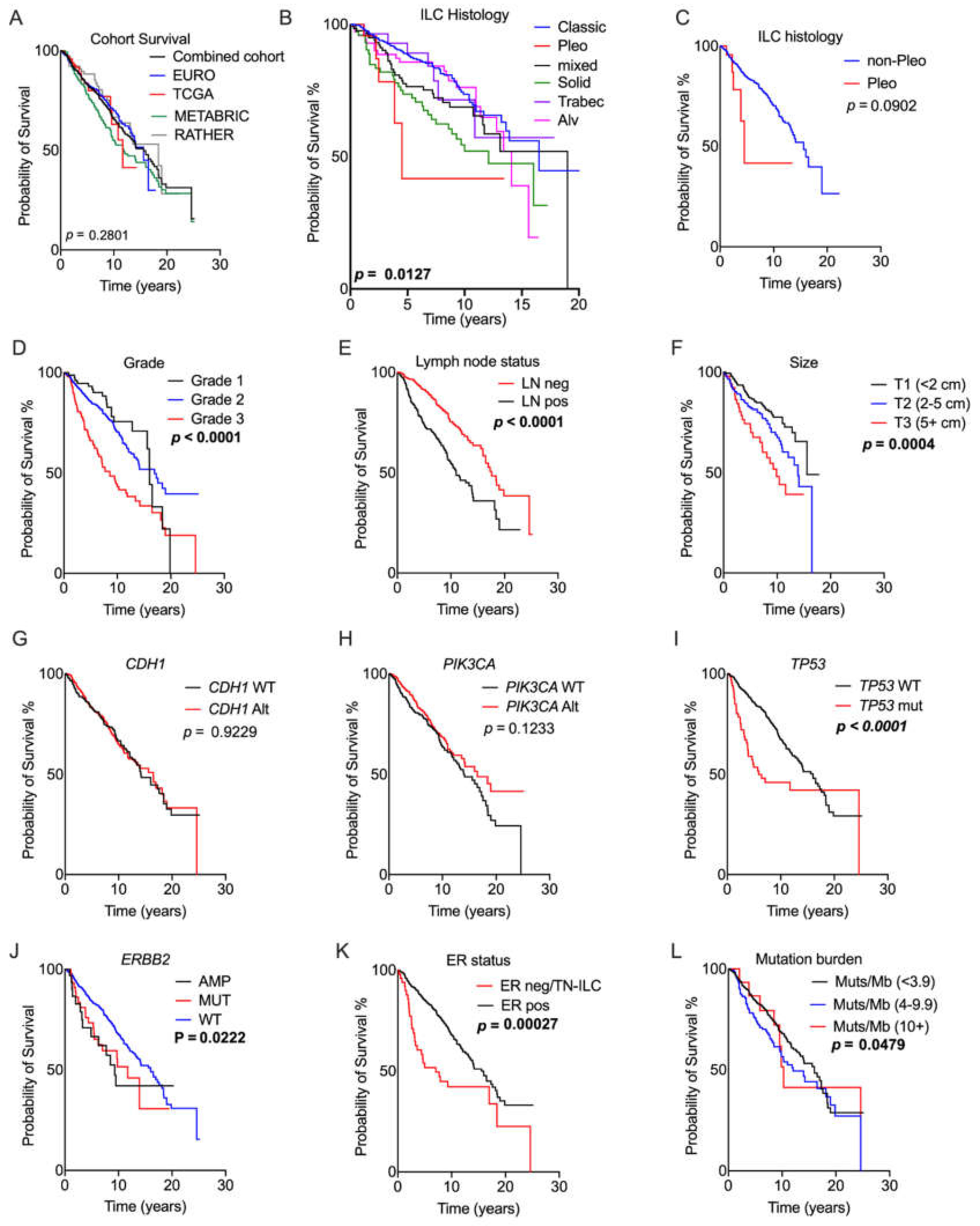 Cancers 13 01950 g002 Cancers 13 01950 g002