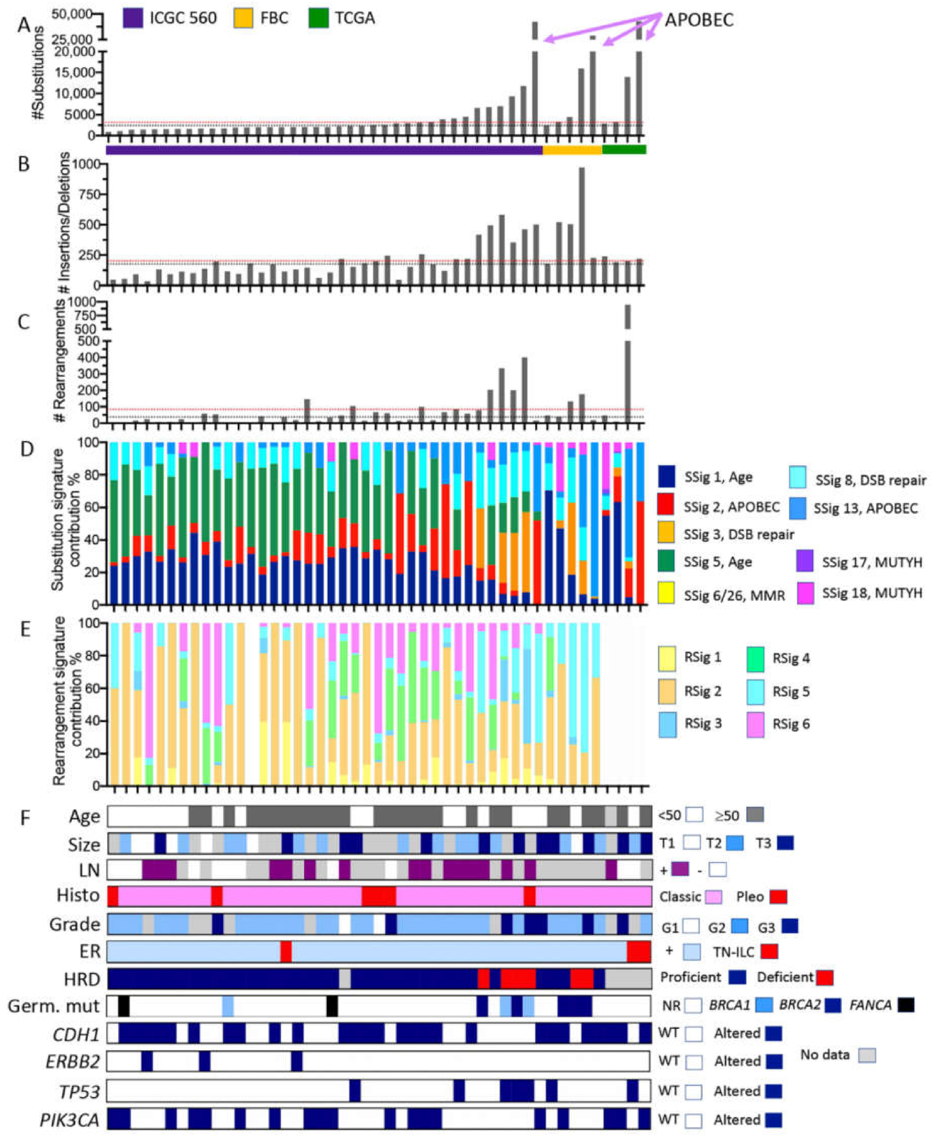 Cancers 13 01950 g003 Cancers 13 01950 g003