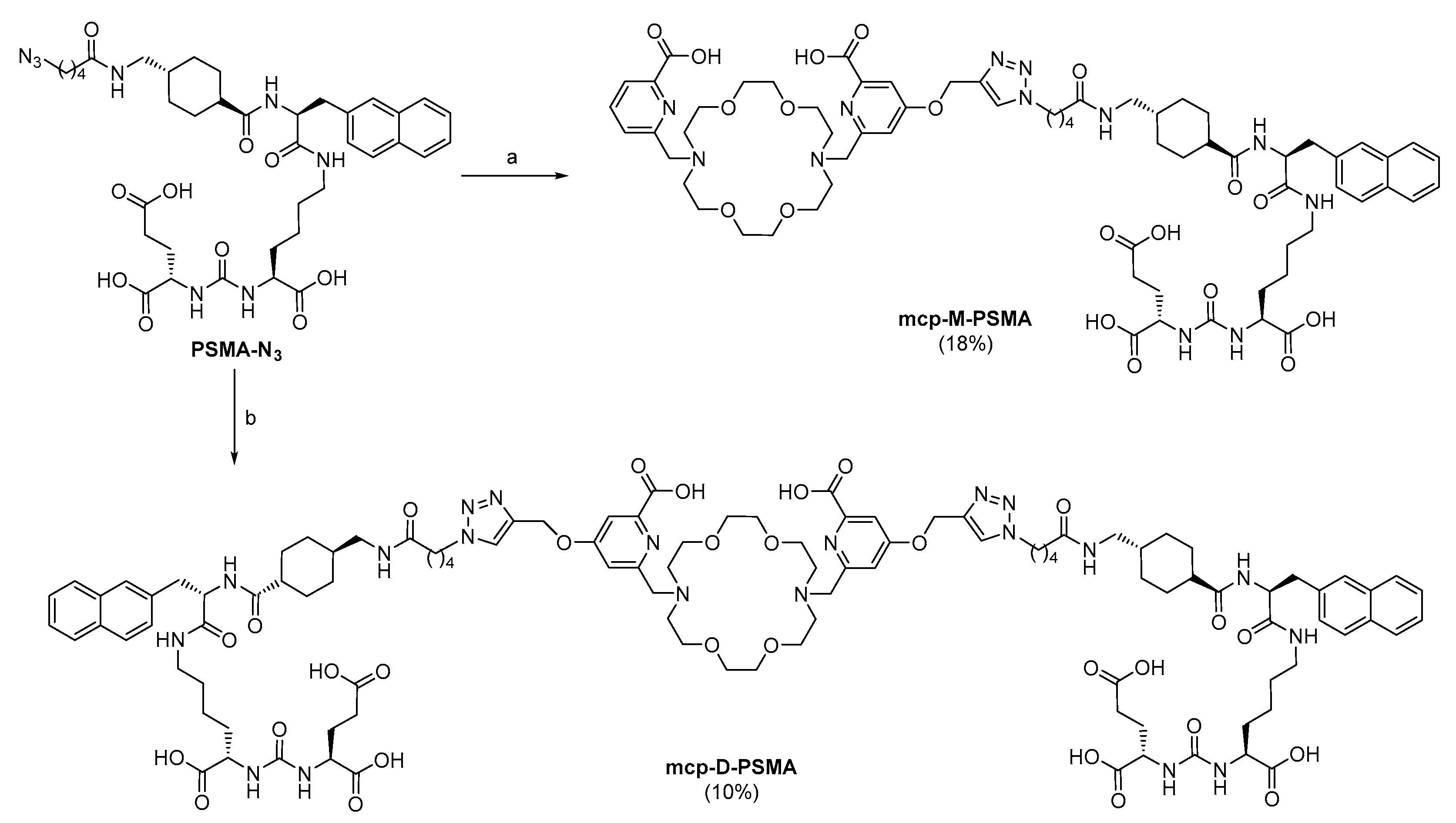 Cancers 13 01974 sch002 Cancers 13 01974 sch002