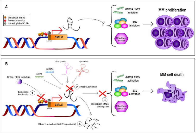 Cancers 13 01976 g002 Cancers 13 01976 g002