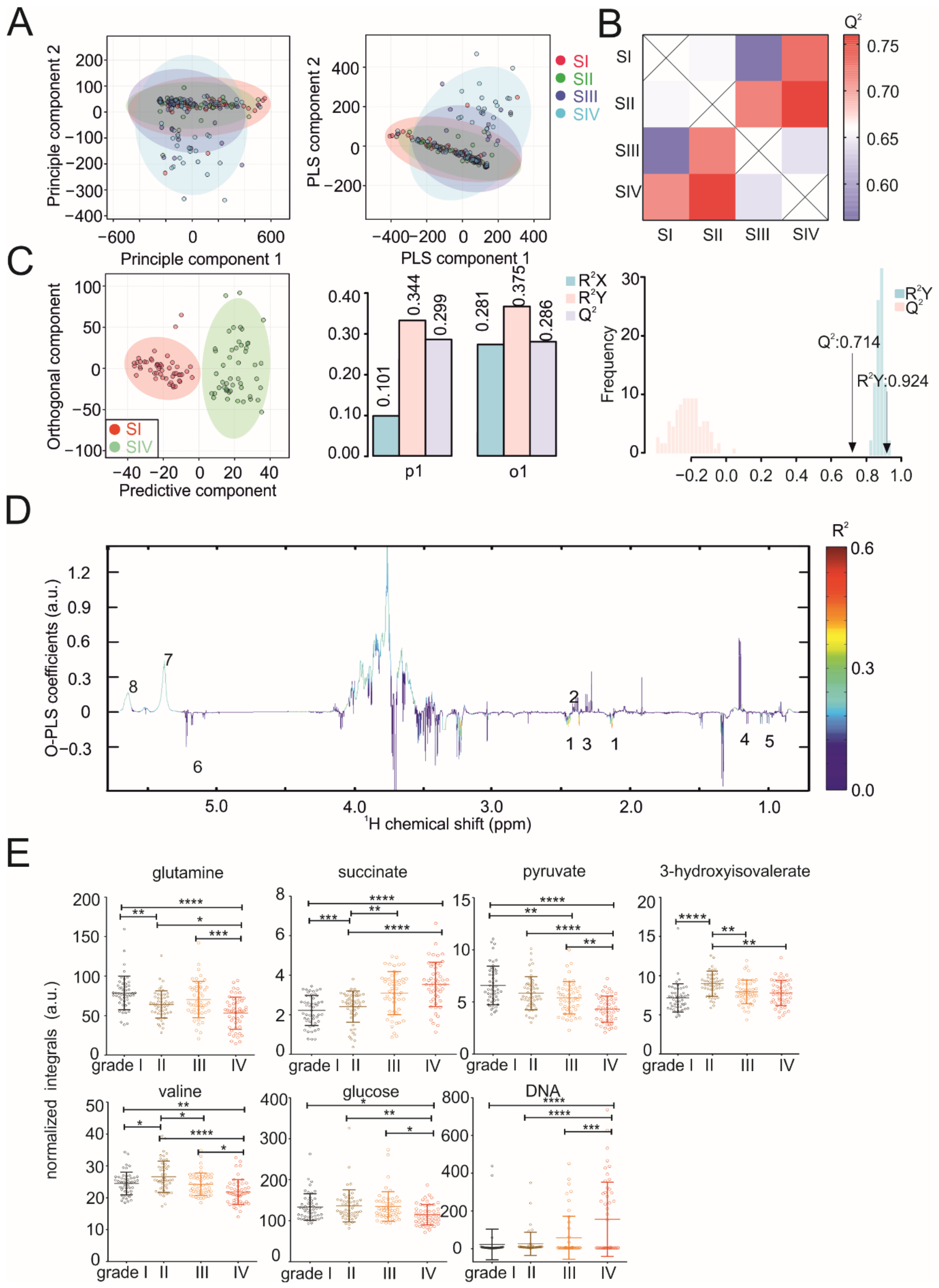 Cancers Free Full Text Growing Human Hepatocellular Tumors Undergo A Global Metabolic Reprogramming Html