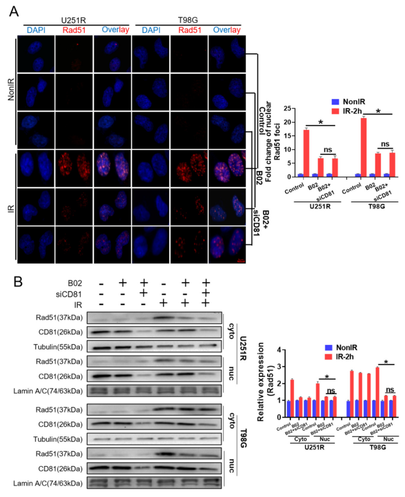 Cancers 13 01998 g005
