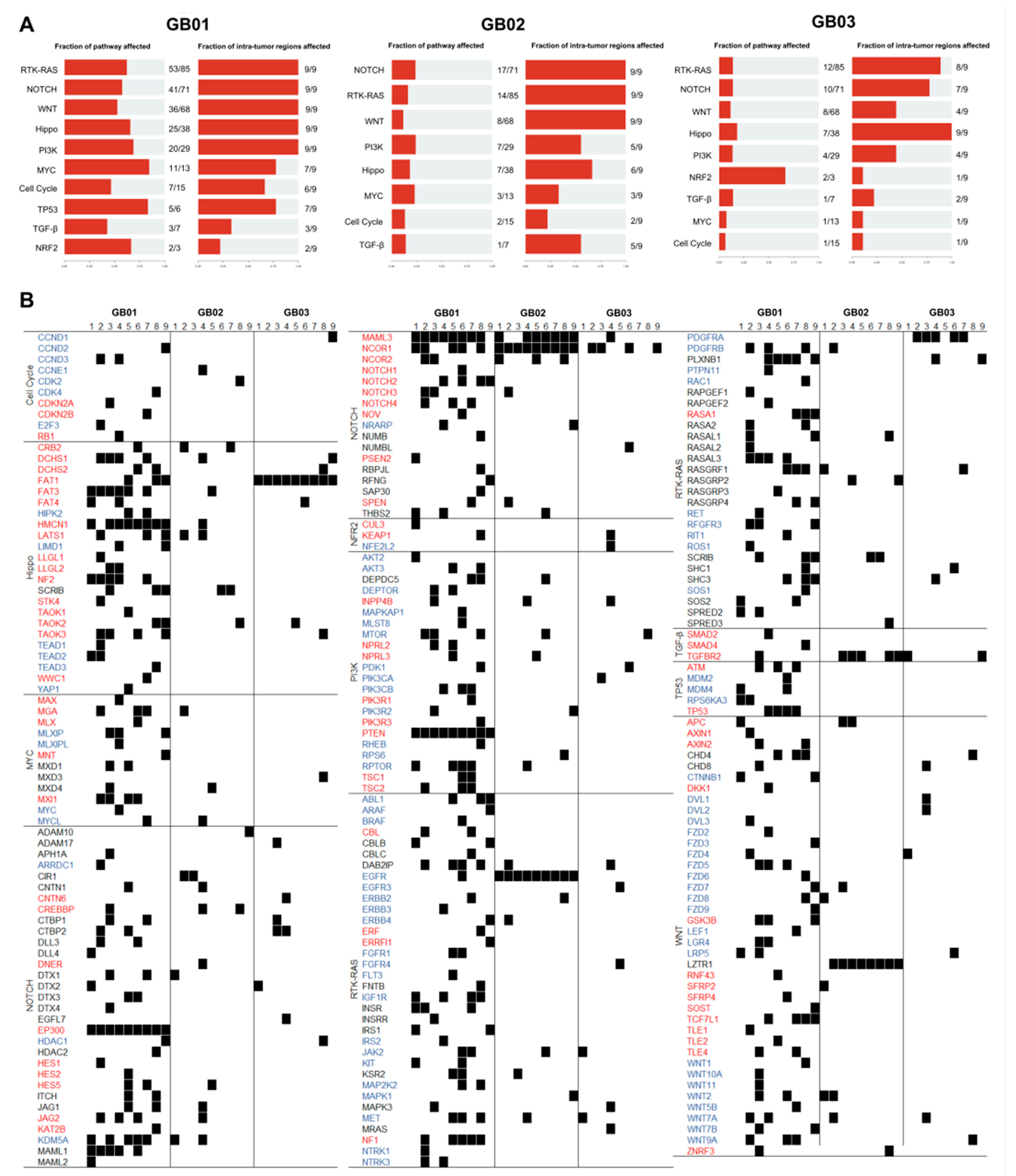 Cancers 13 02044 g005