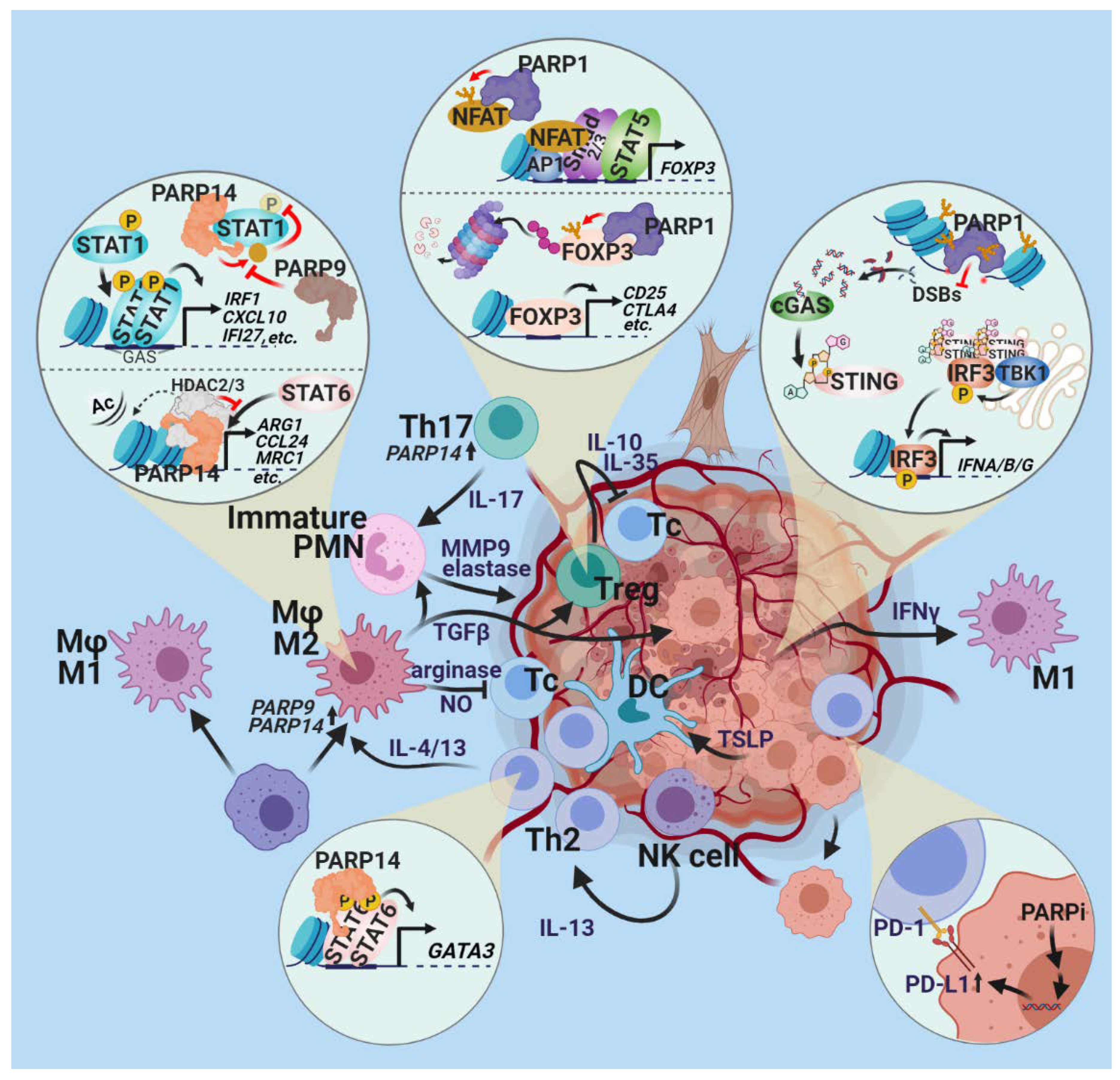 Cancers 13 02057 g005