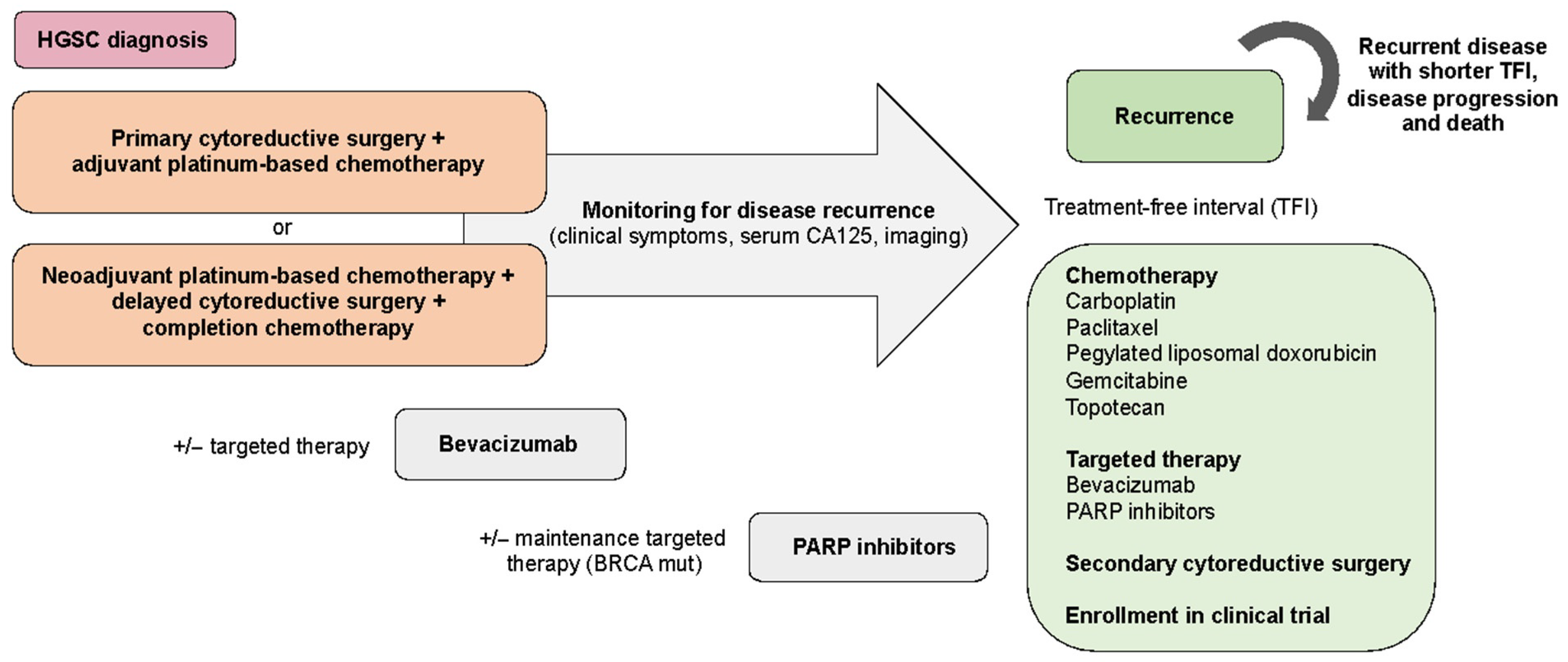 Cancers 13 02067 g002