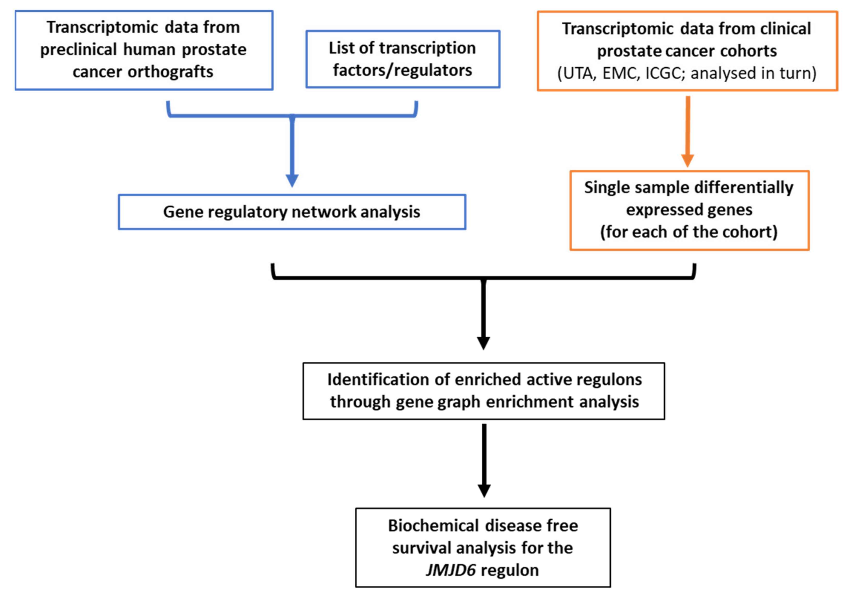 Cancers 13 02094 g001