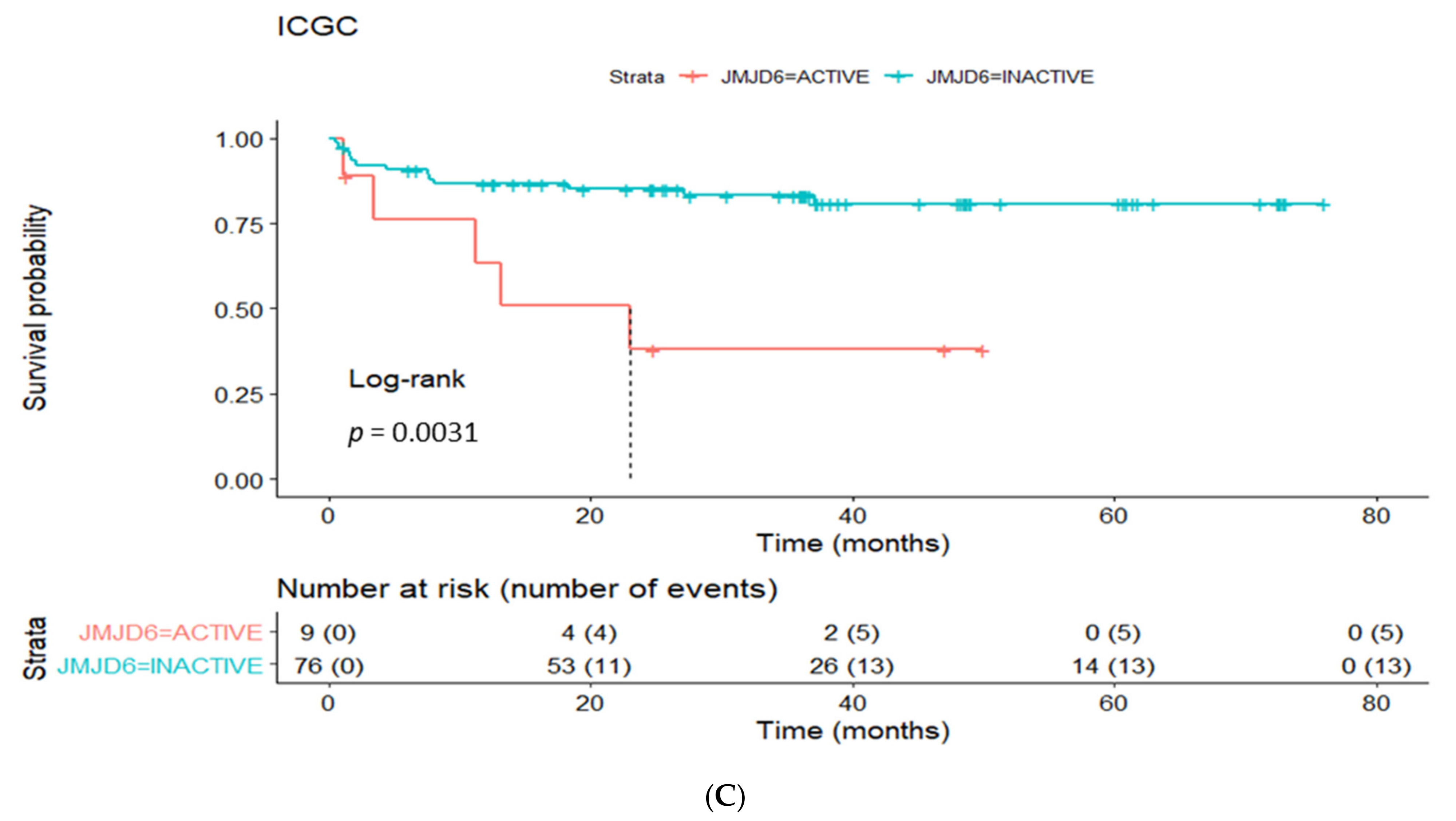 Cancers 13 02094 g003b