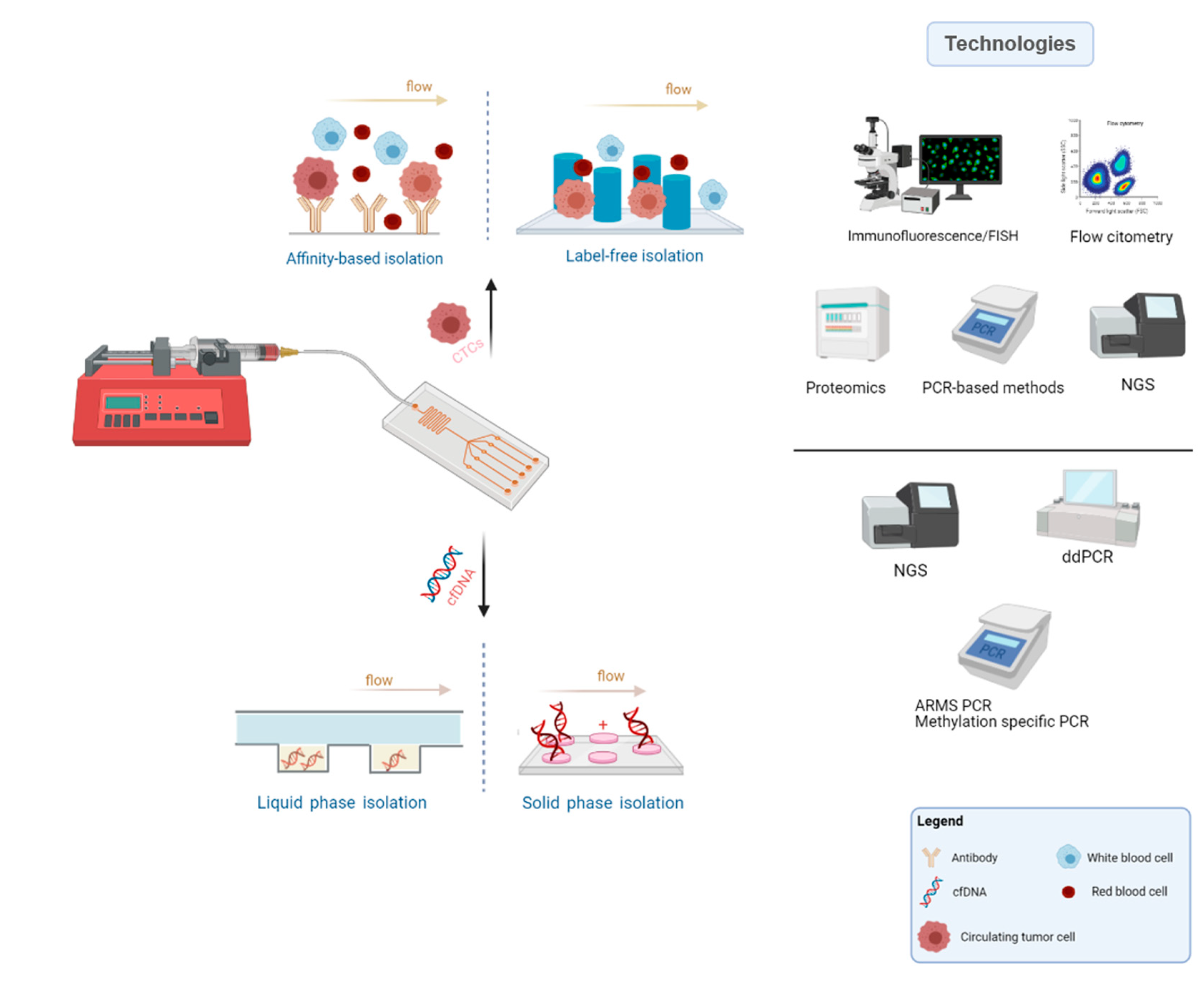 Cancers 13 02101 g002 Cancers 13 02101 g002