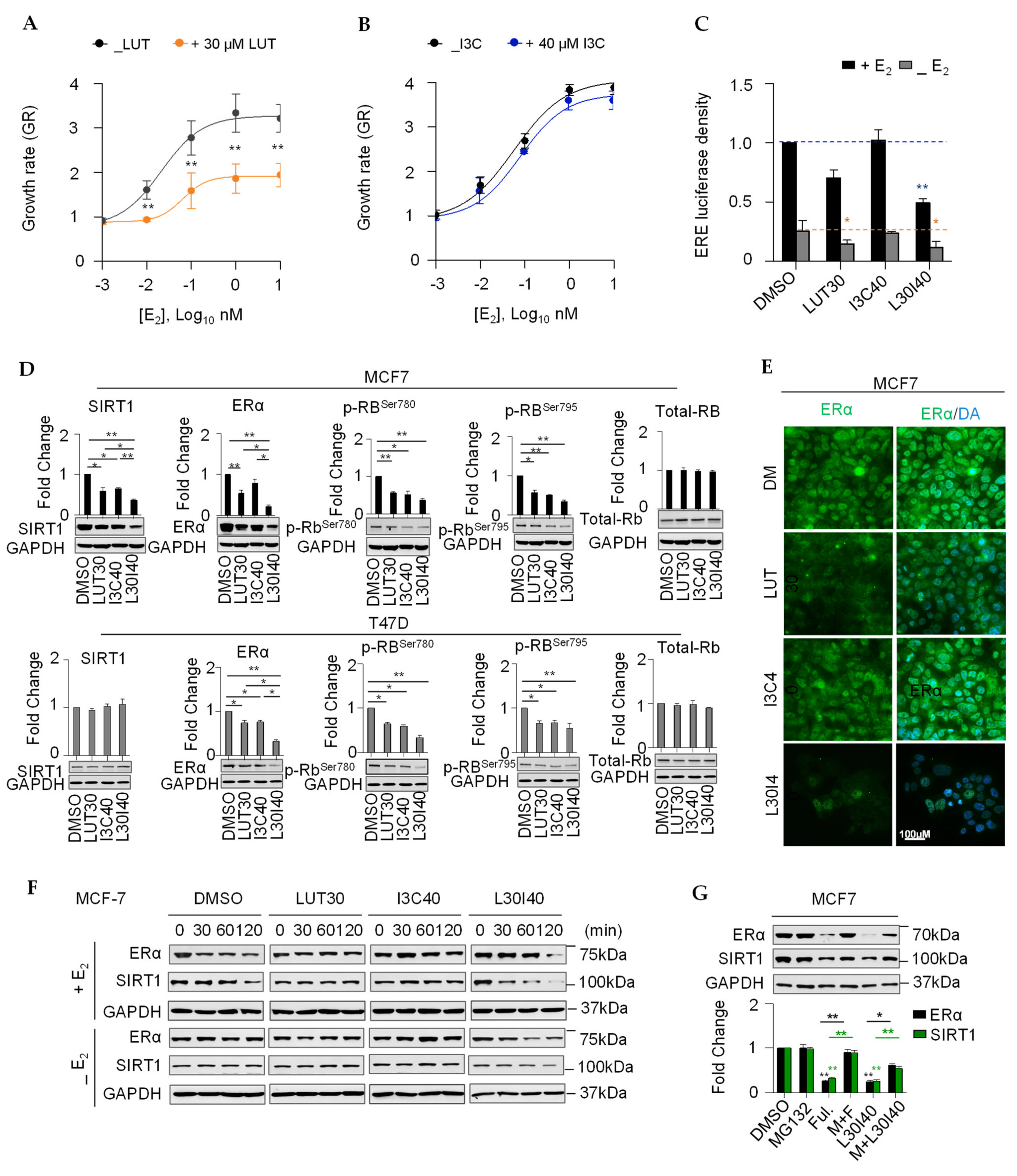 Cancers 13 02116 g003 Cancers 13 02116 g003